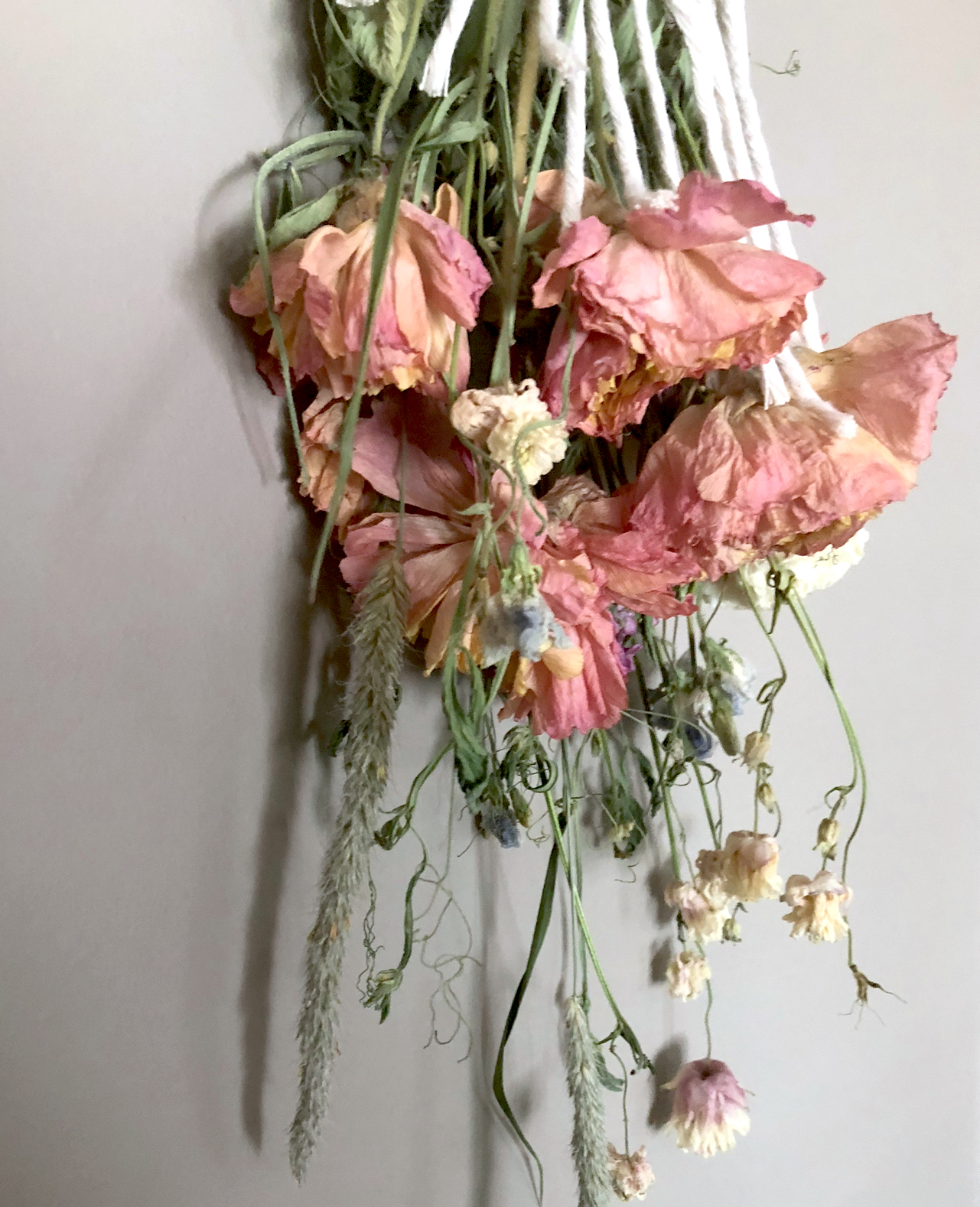  Sweet little bouquet wrap made to enhance these local dried flowers - currently lives in my living room 
