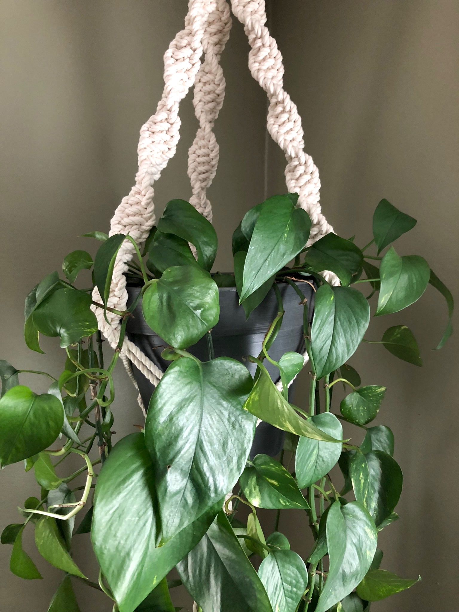  A classic plant hanger for my dining area. Available made to order! 