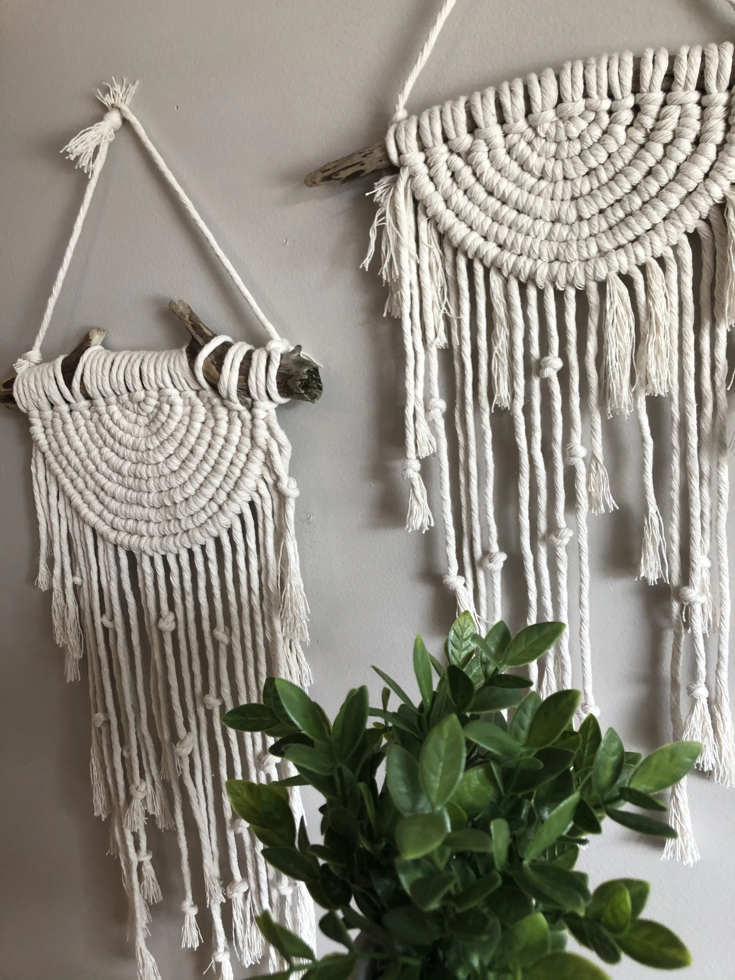 C330DD85-F0F1-4557-80F5-68CD086DDCE2