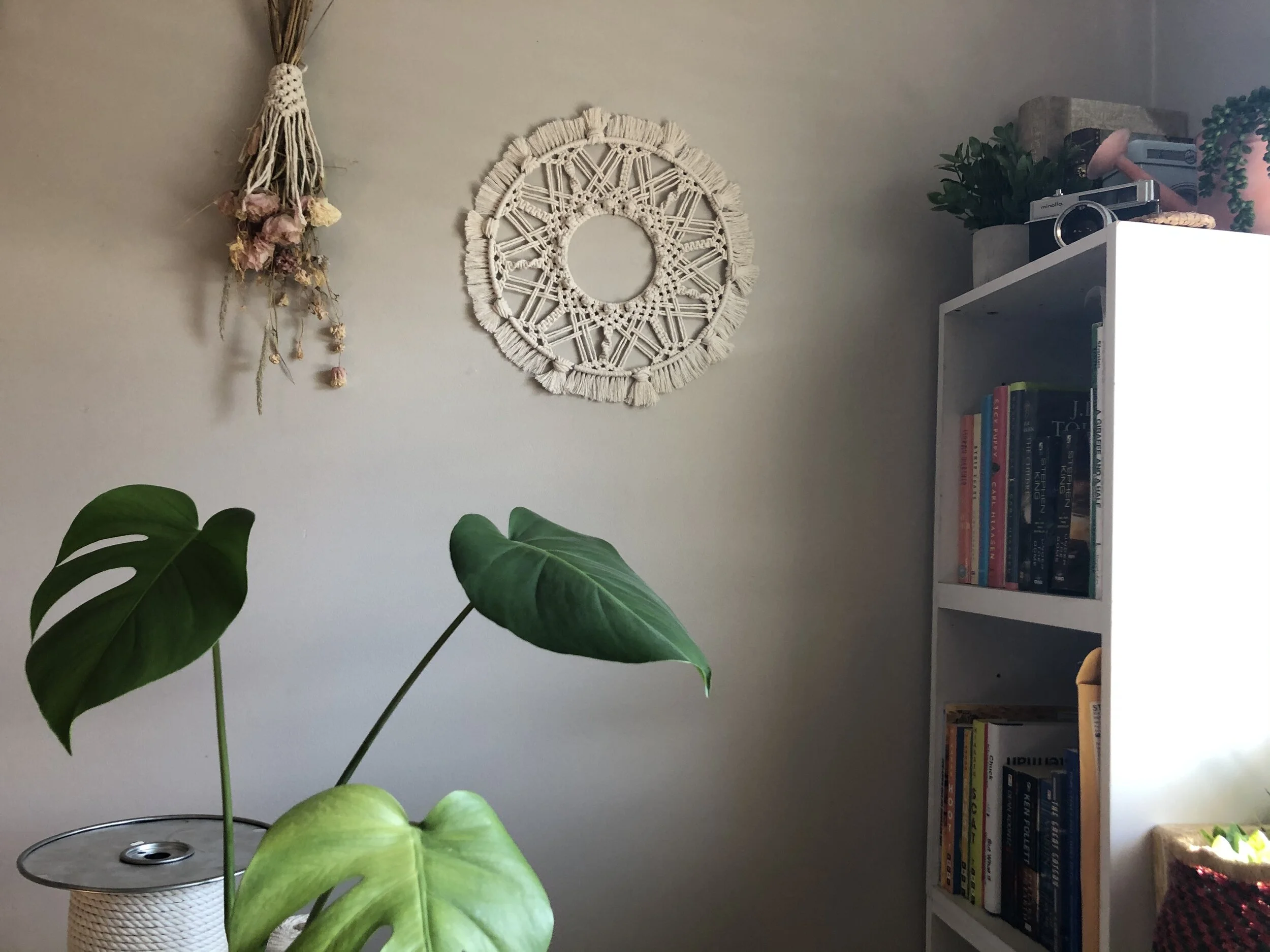 56A6A556-819E-4CBC-A323-226D145E1462