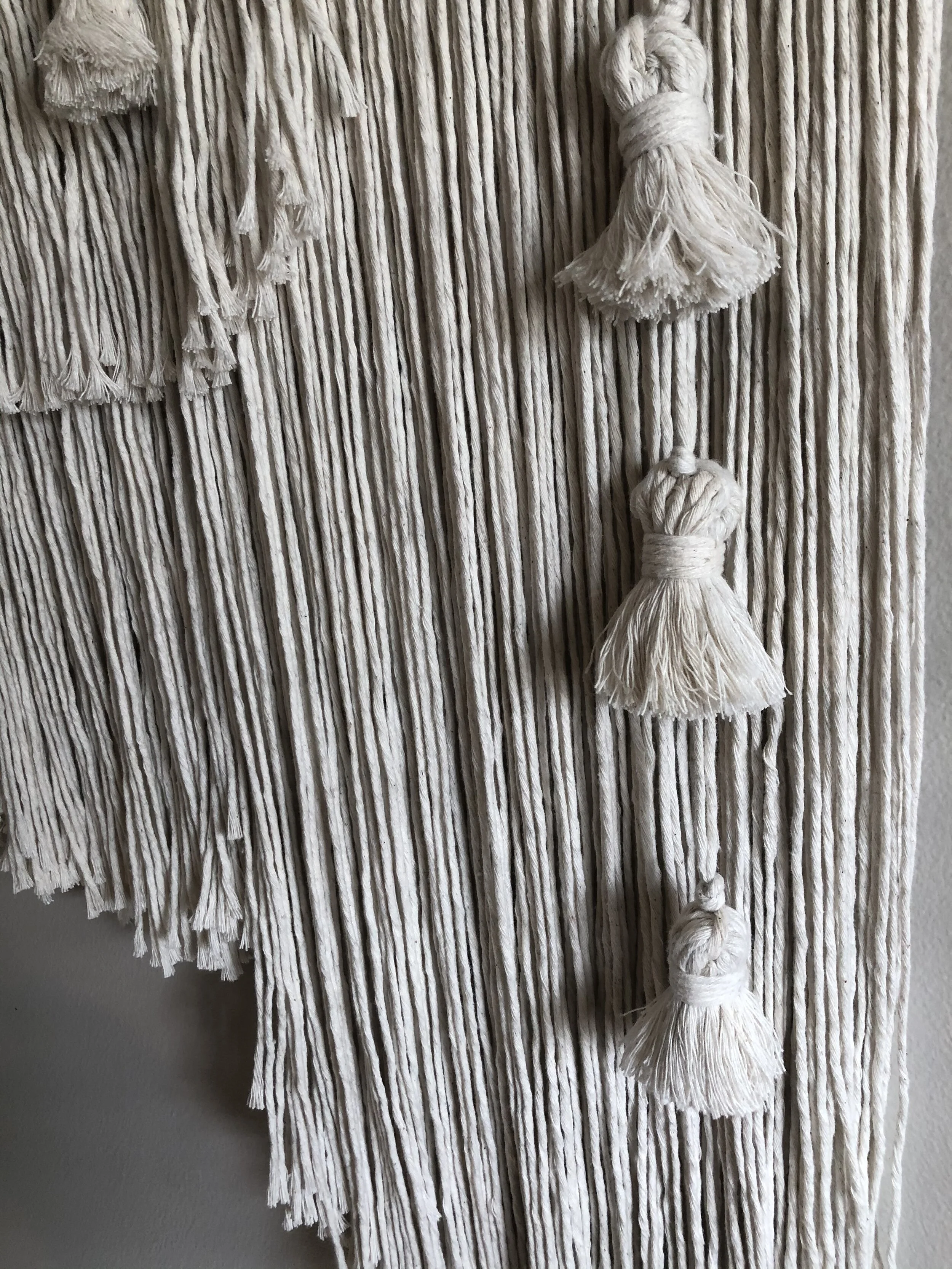 81DE215C-AC07-4013-9A69-4D1094E001FD