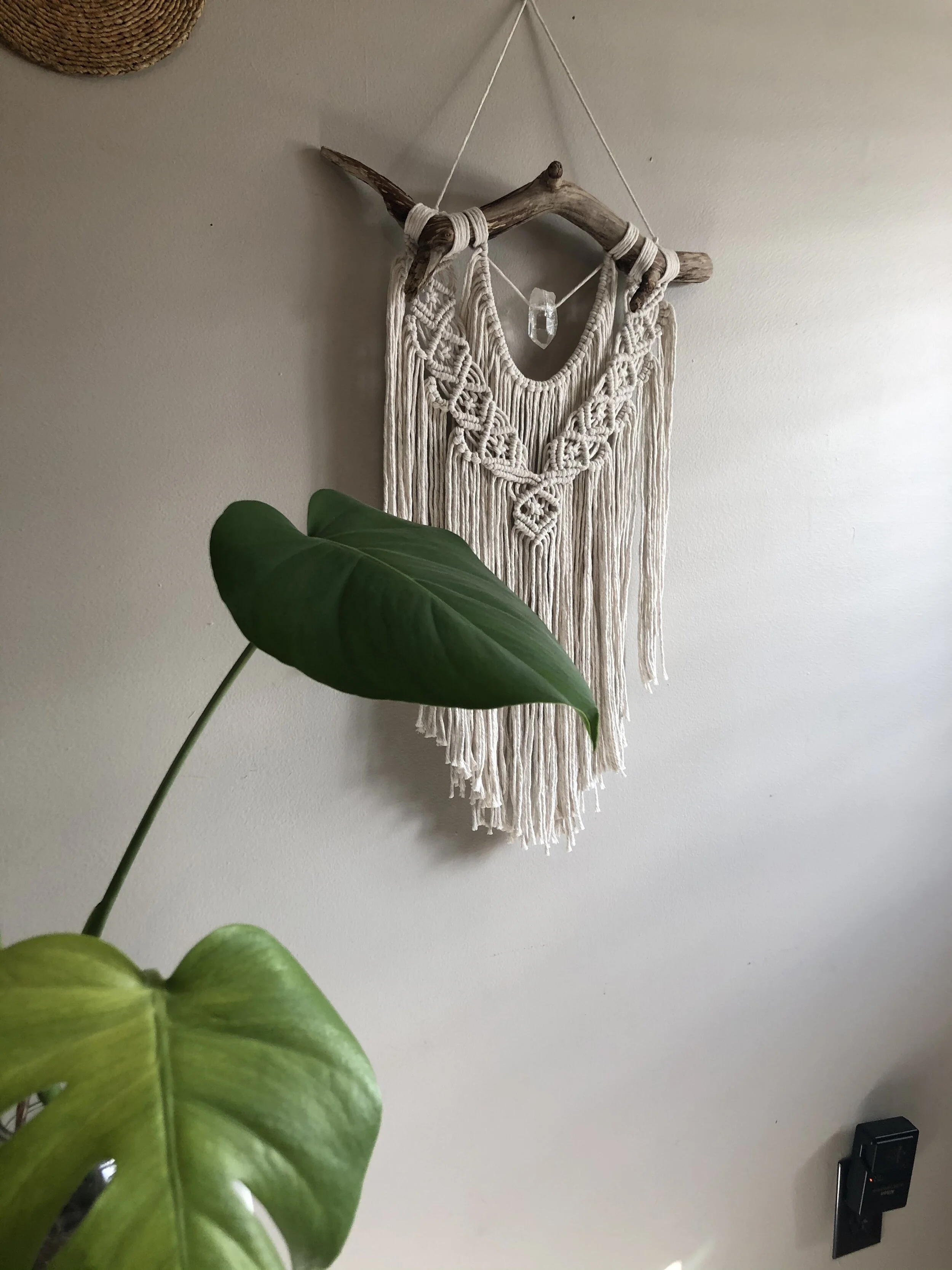 154D61DB-6BA0-47C4-BB72-6029418604CE