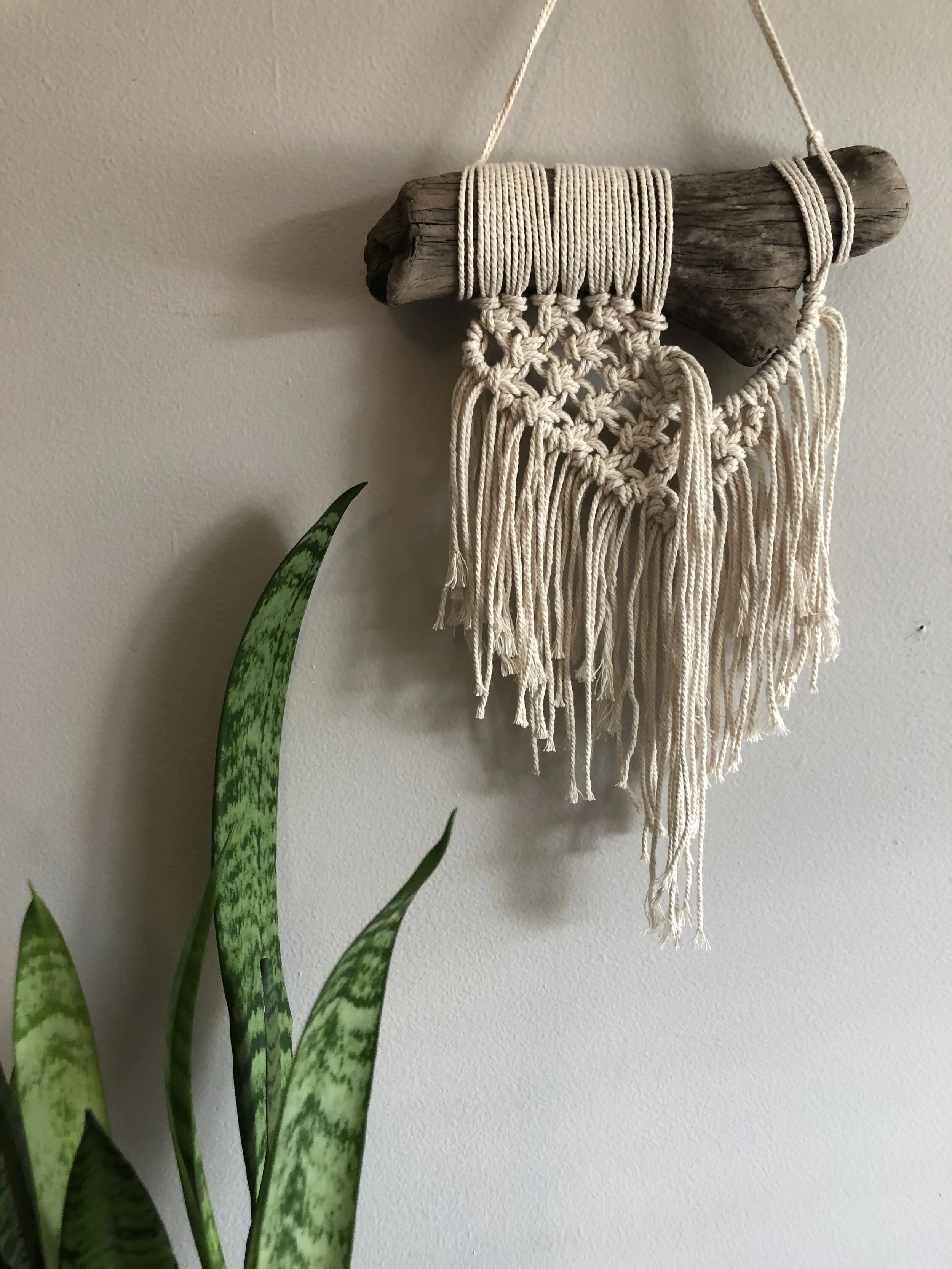 12F8E3A8-2725-4D75-B291-AF4320E41990