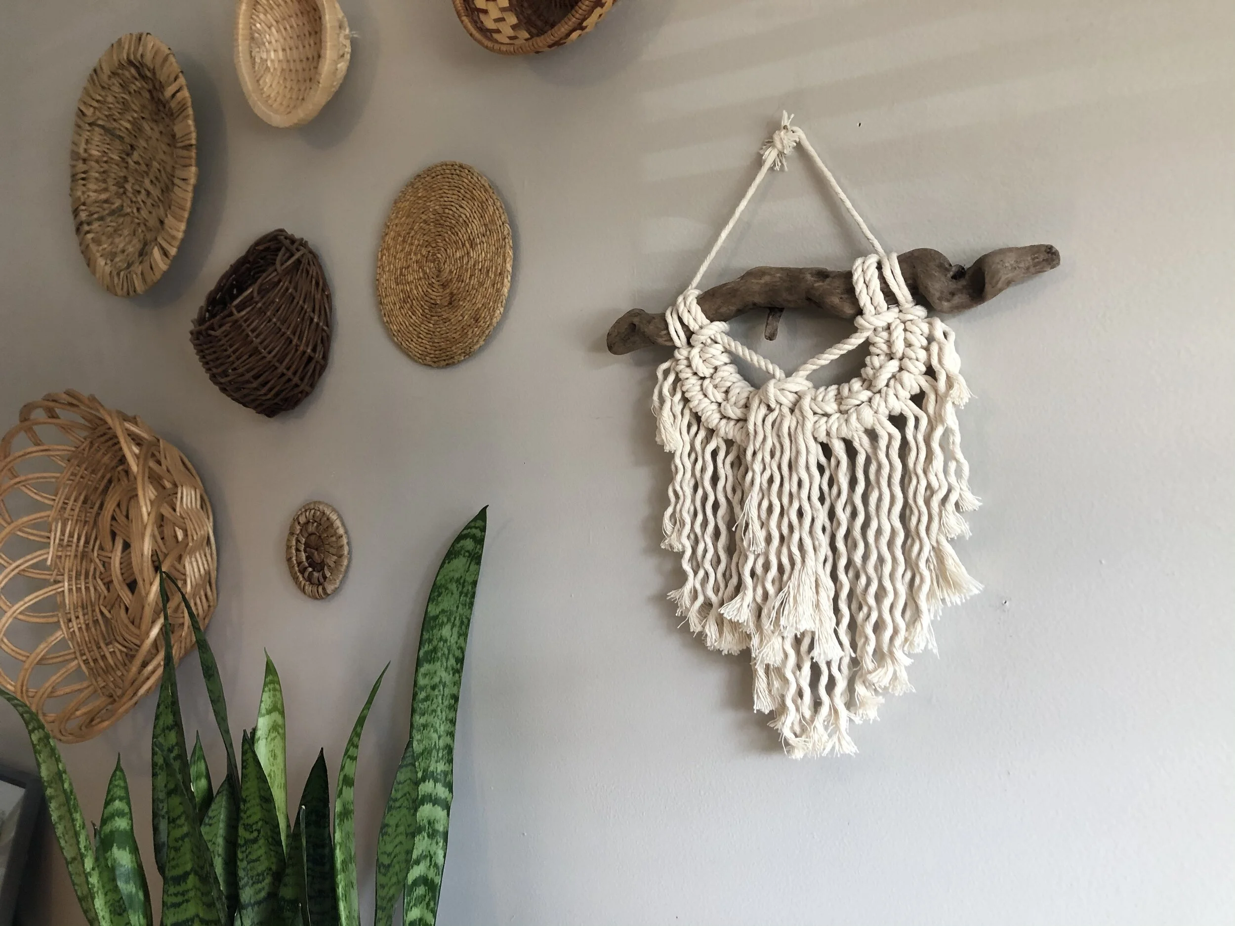 E8F36CBA-ED55-4A5B-B8A0-C218C7E842E6