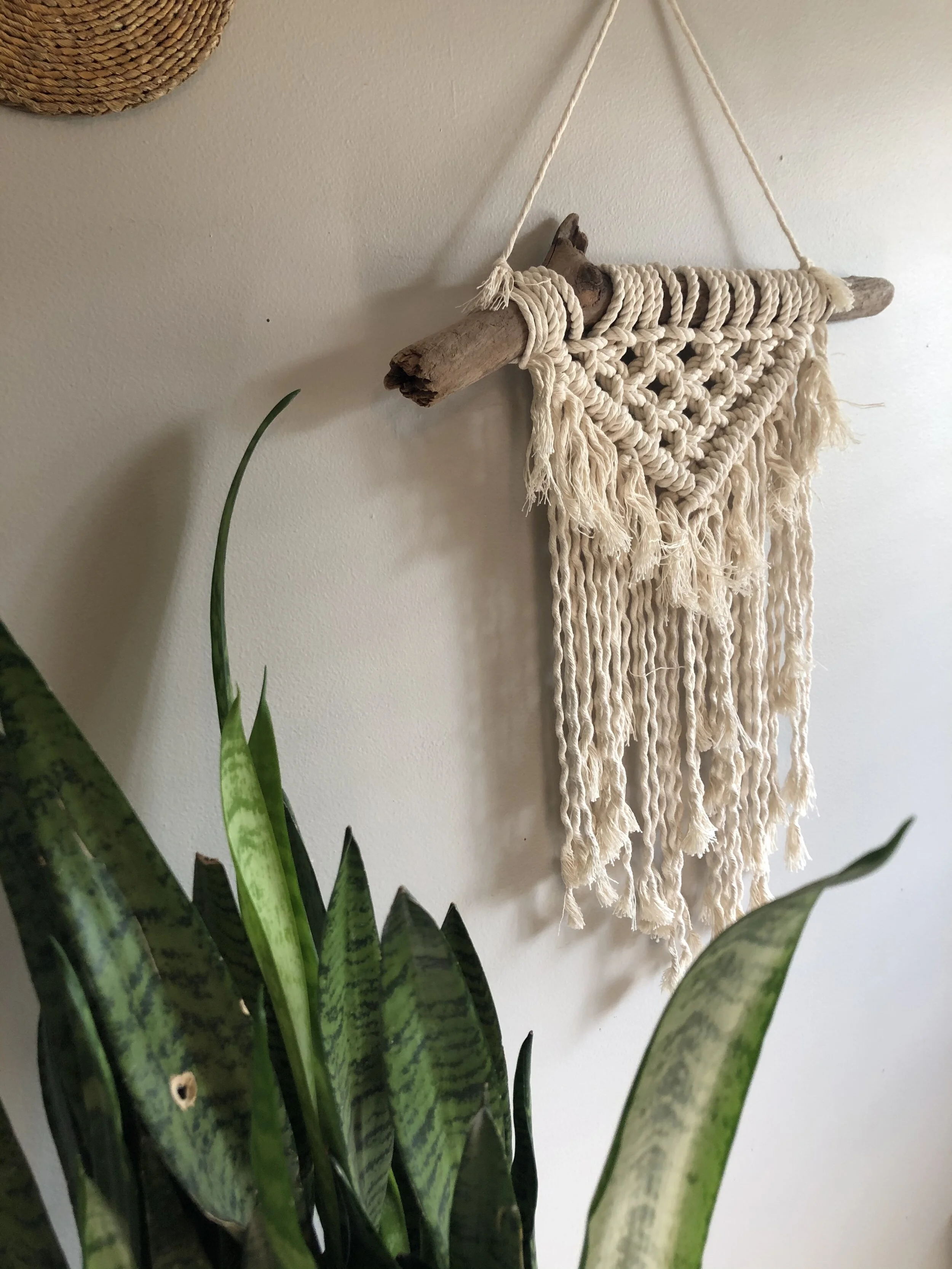 6C5FE35D-396B-41BA-953E-1C7B2F22ABC0