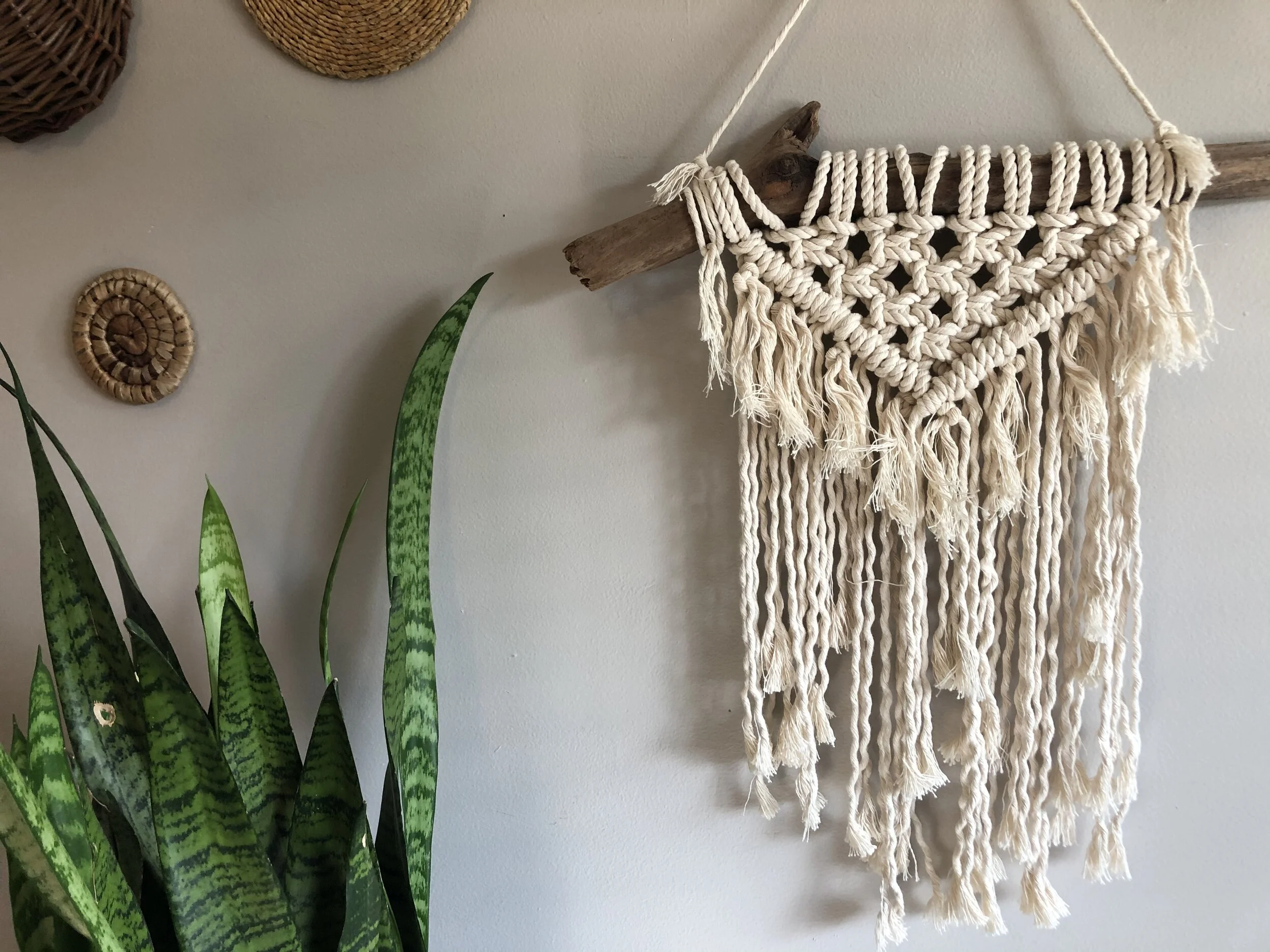 8EDC17B7-80E4-4422-BD66-EE2B1D133E33