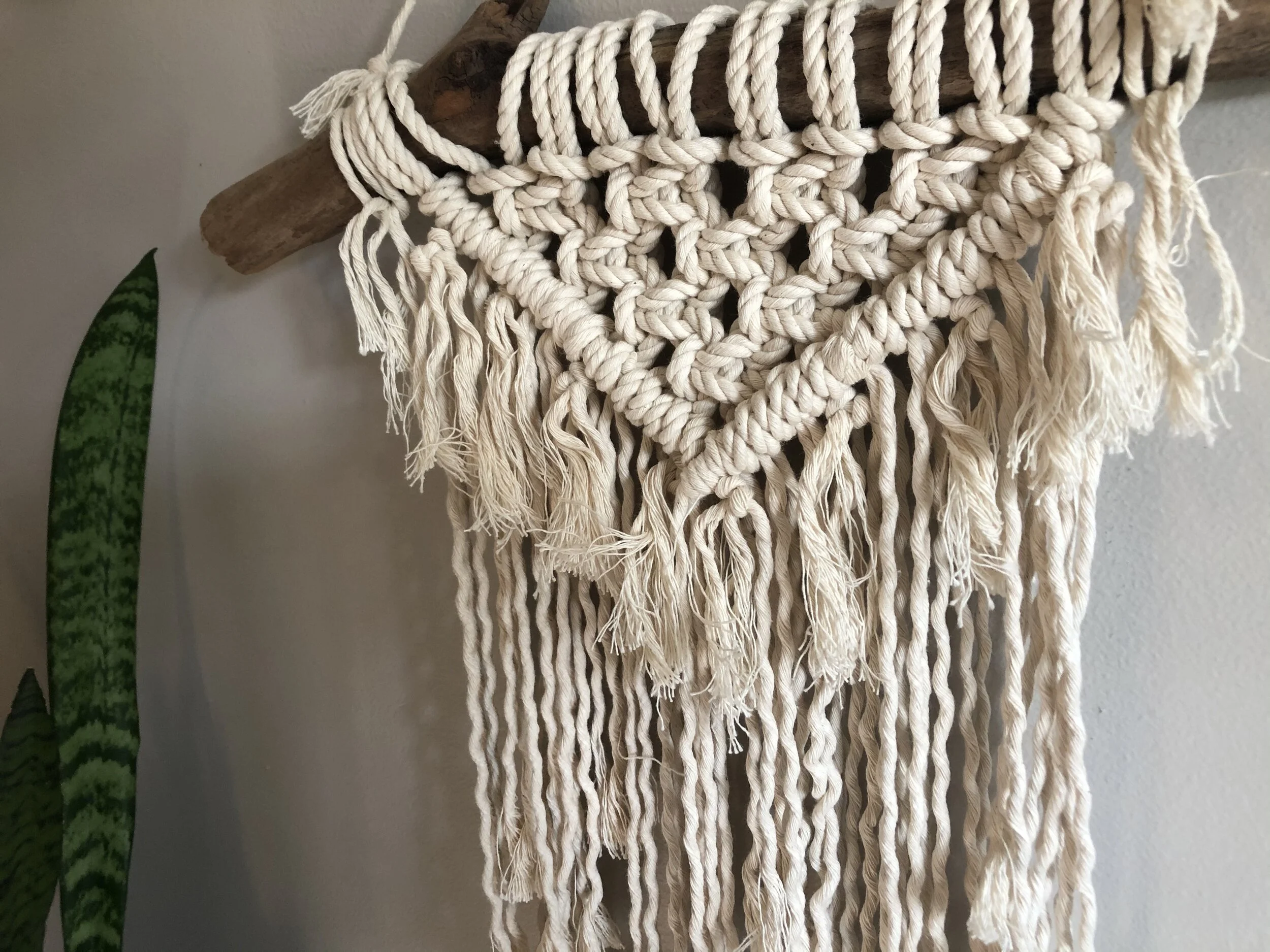 83C0E12D-BFF9-49D1-B922-765D71C03E5E