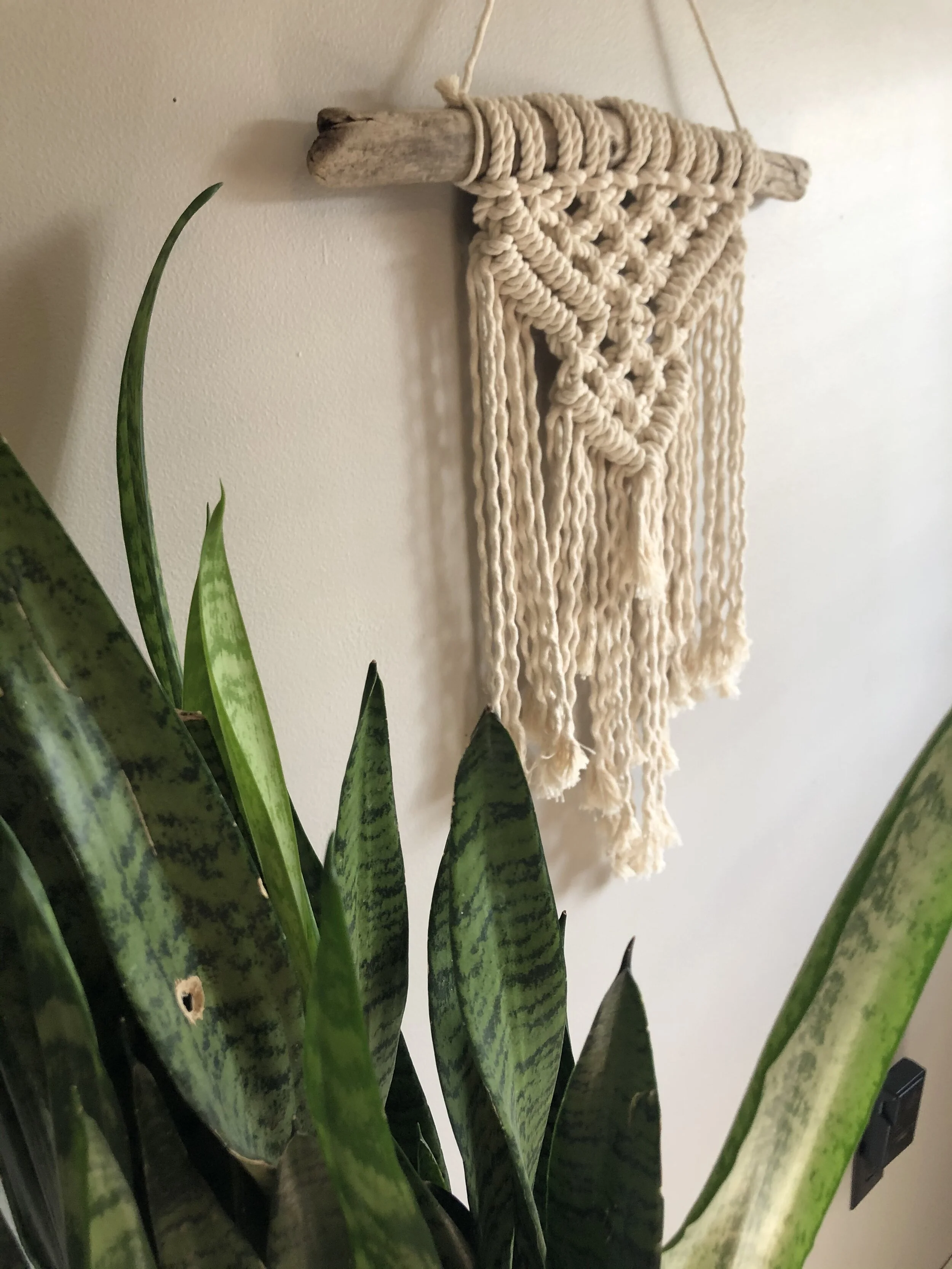 F35DE02B-59D6-41E7-B97F-6EA3C5700AF7