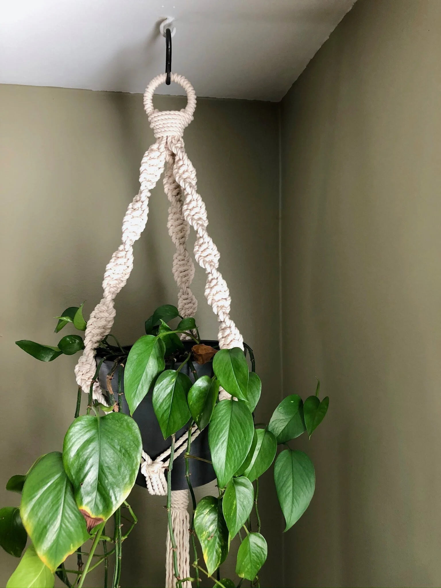 C83ABF83-3C63-4E1C-A3E1-1CA0F3752AD9