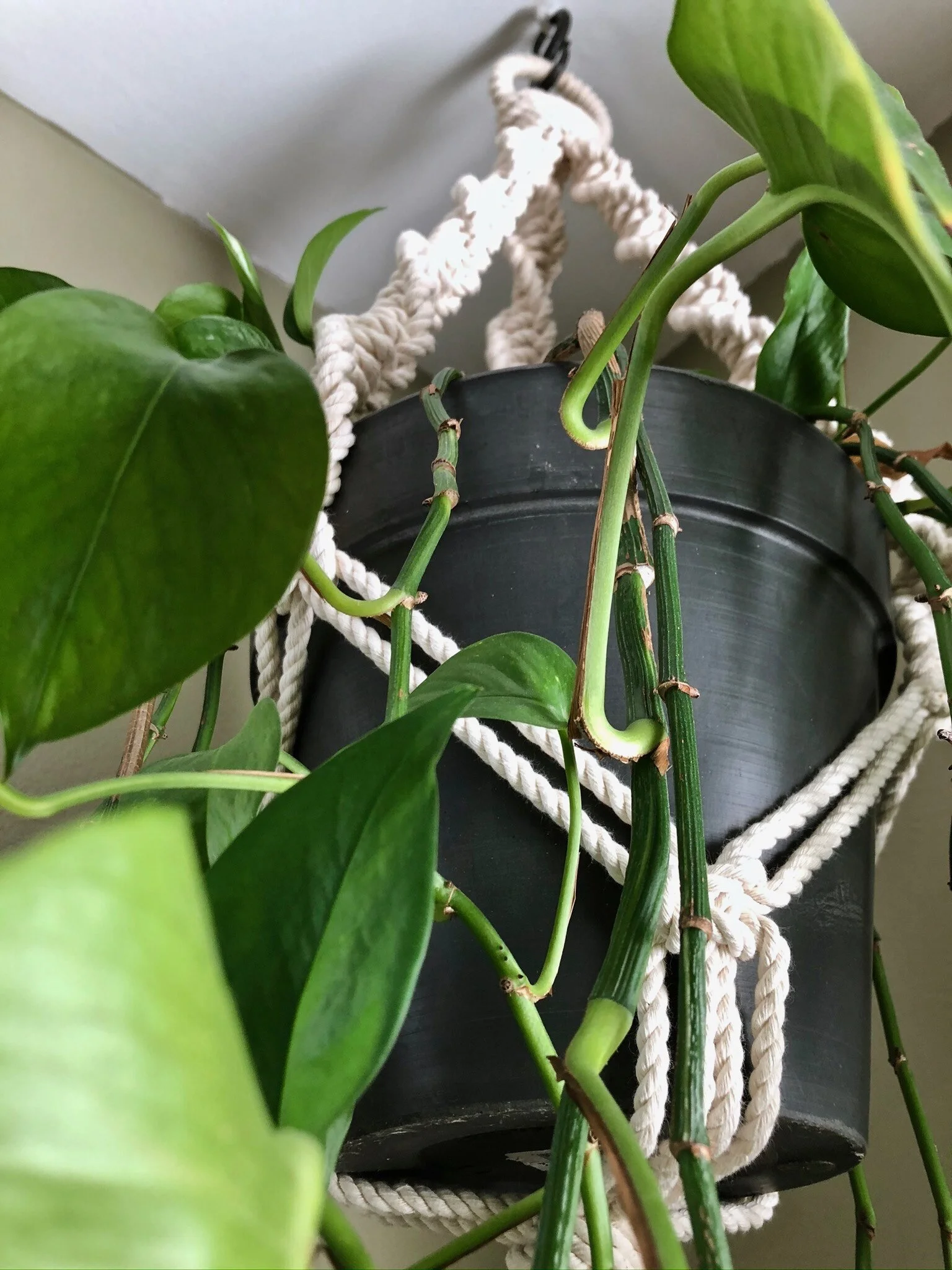 7FA080D8-5FA3-4460-A8D6-1D8B2F2FBDBC