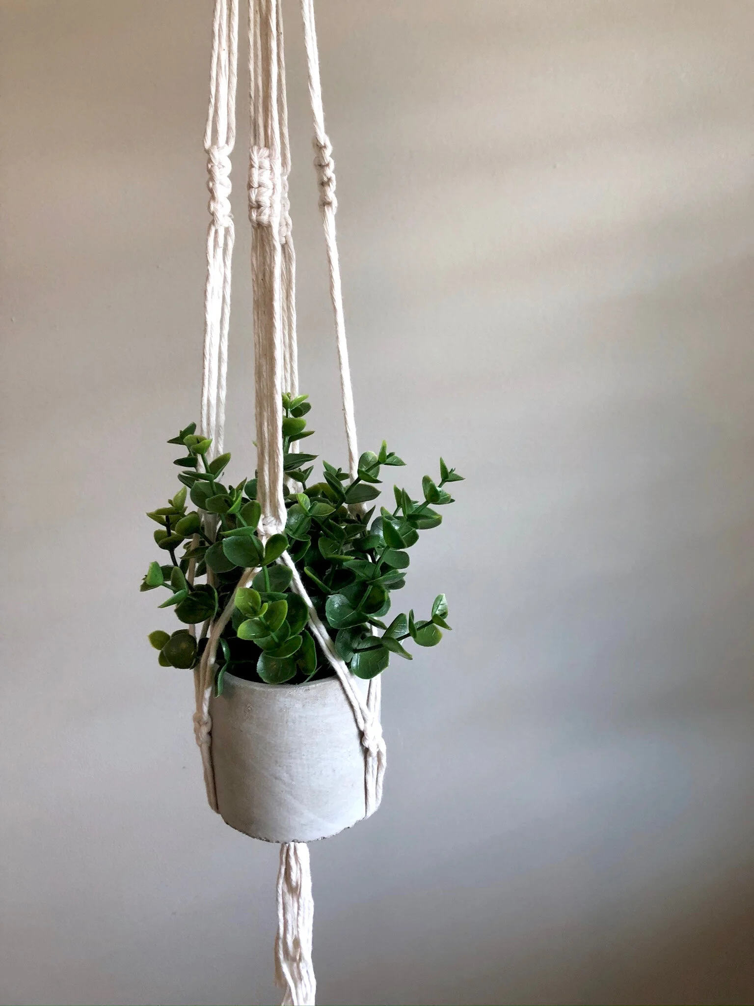 3DAE4AD9-188F-4BBE-A298-2C62D3F6236C