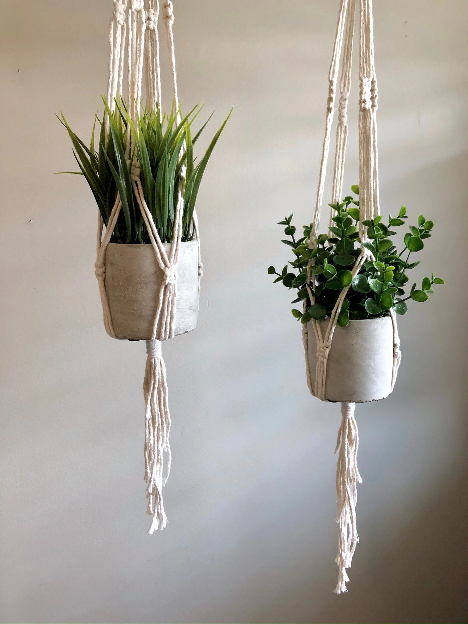 8476048E-347B-44D9-B650-2F82CCAB544D