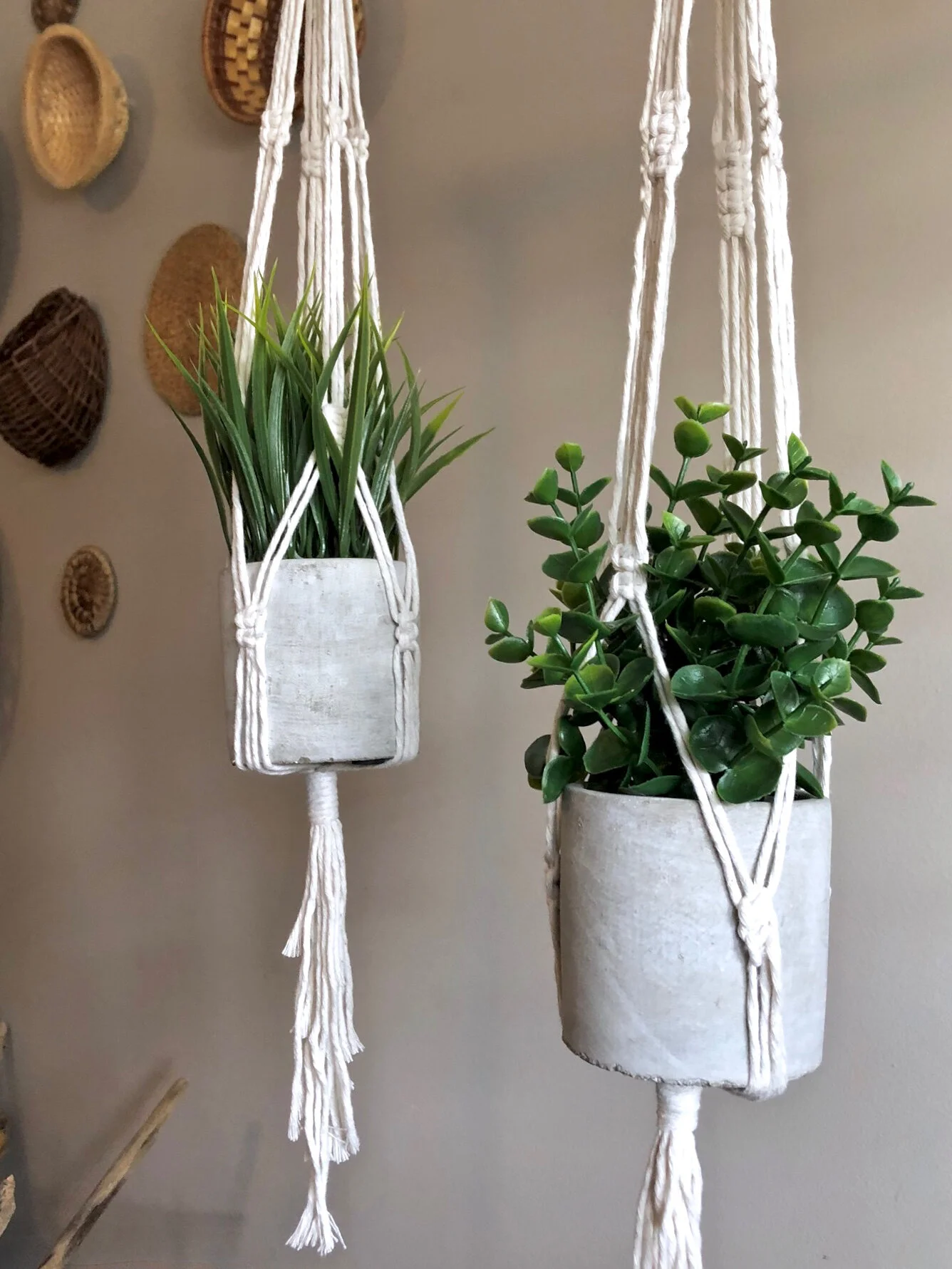 1082CE81-ACC4-4F2E-BE70-52133FFBE970