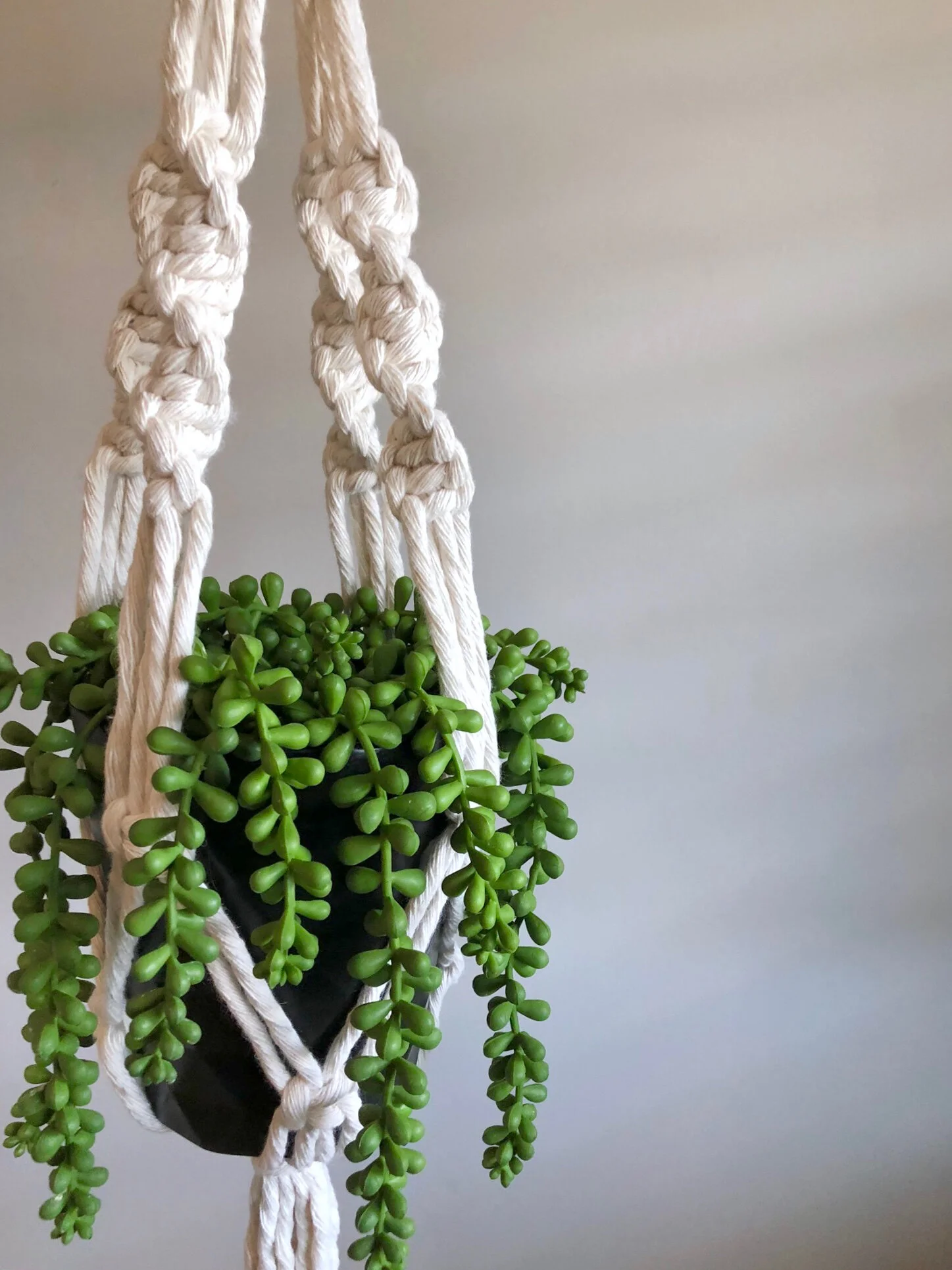 184C7BDD-F28E-4716-BB55-6AE9137BB0F0