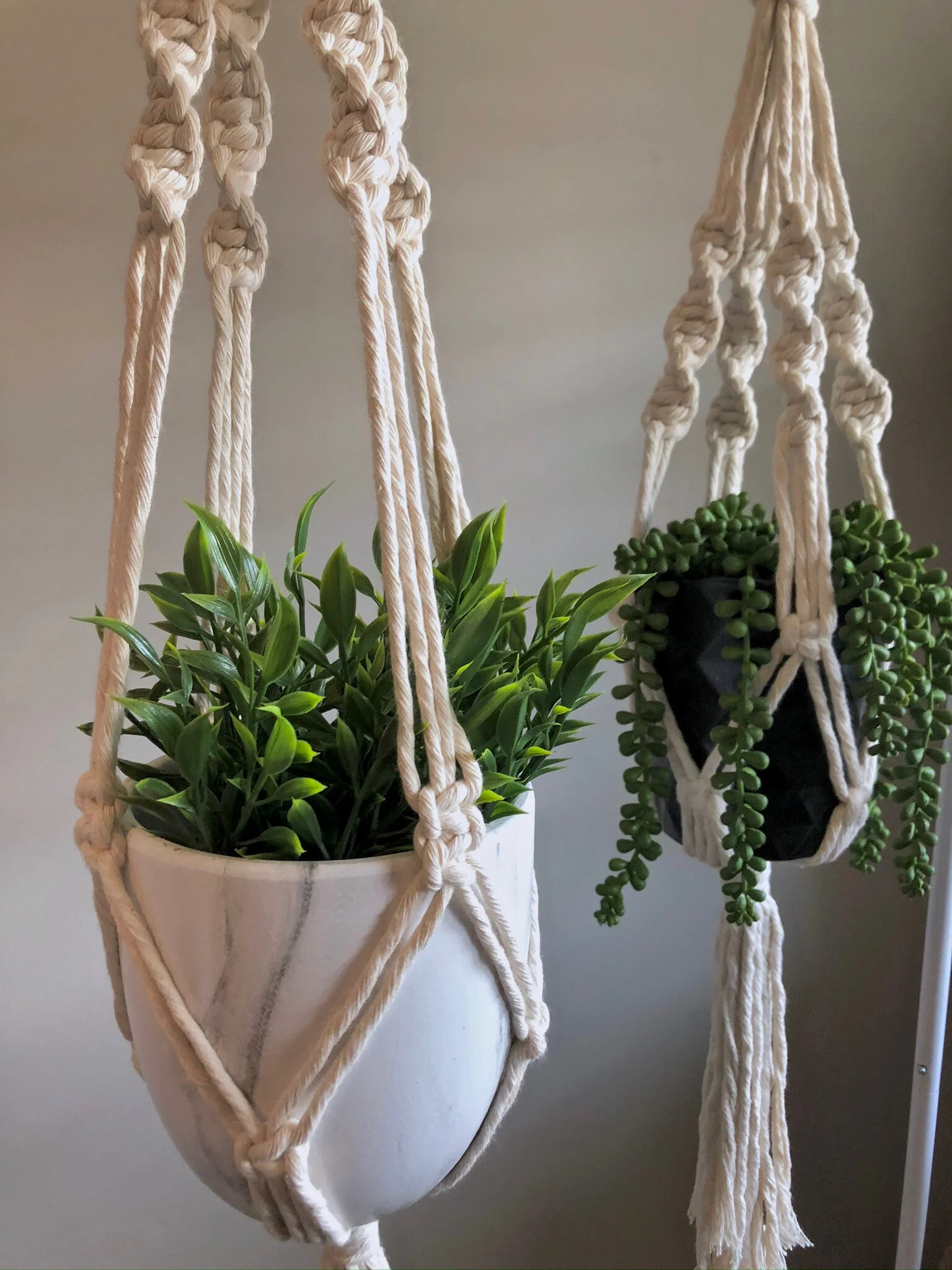 CFC9AAD0-EDE8-42C8-9065-EAE3B8D2524E