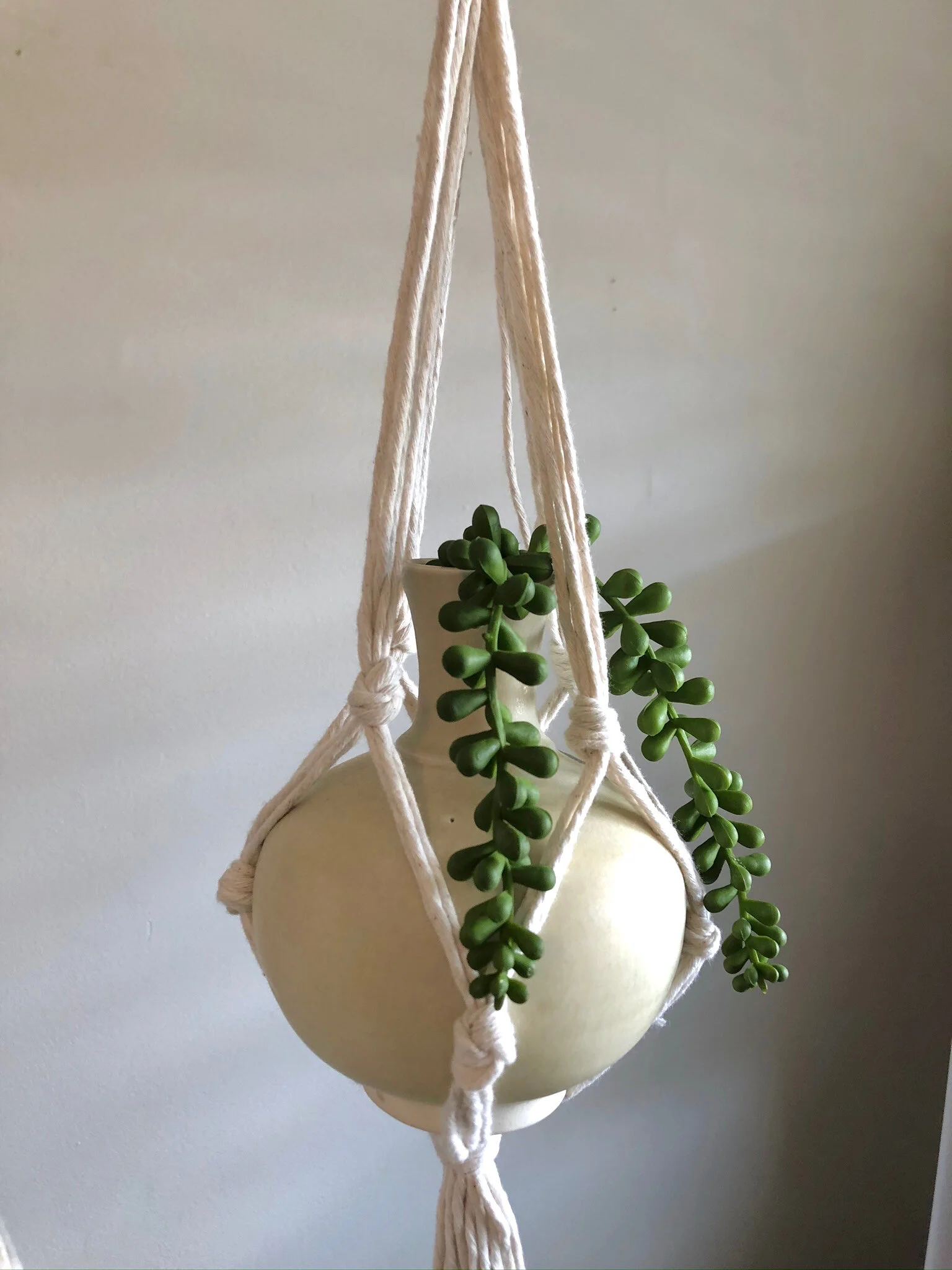 C92D2A43-F85E-4CAC-AF6F-2E9C0420550C