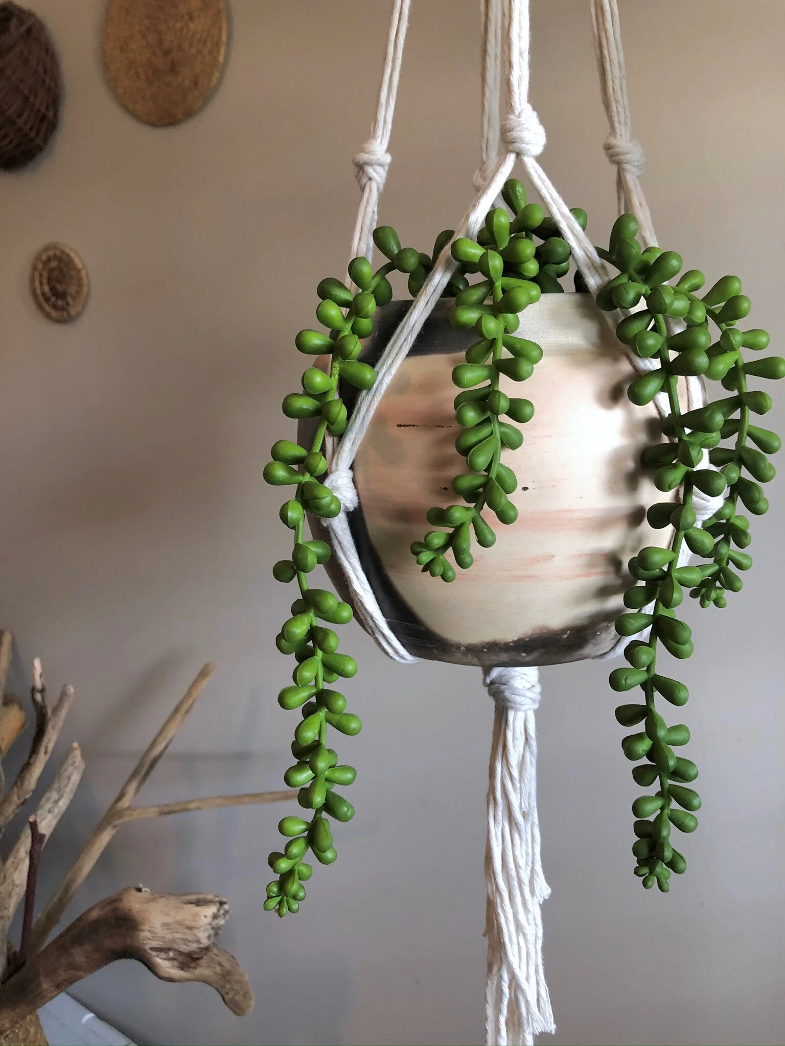 1C2DA36E-DC19-4F84-91E2-00B75709C3E5