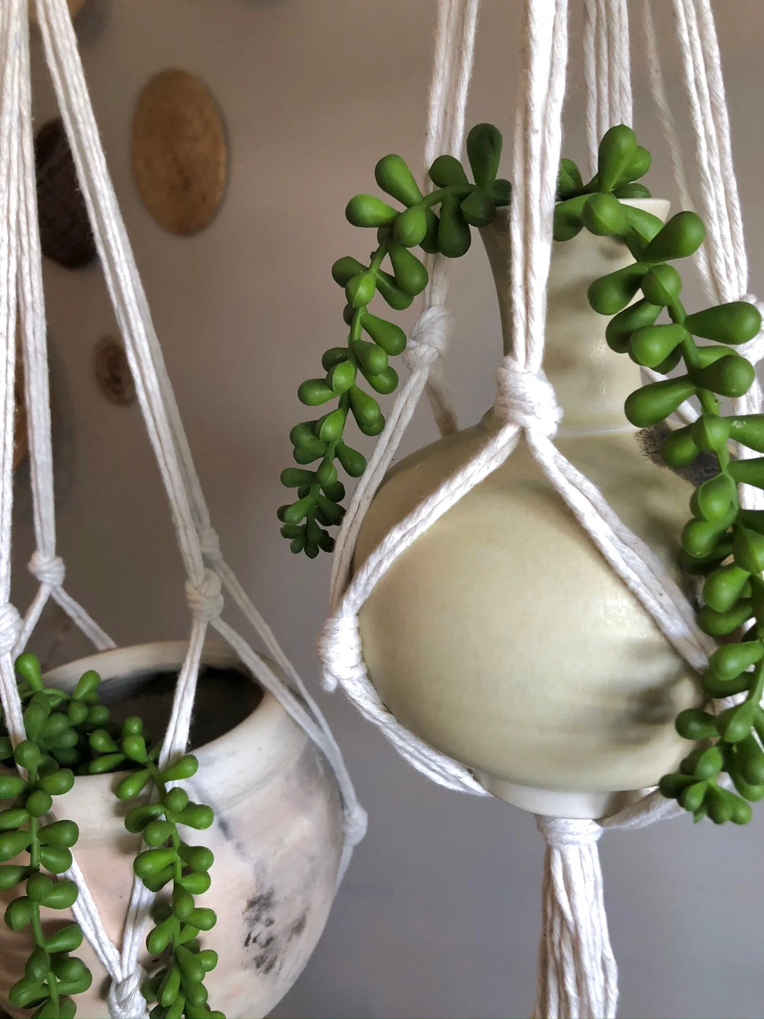 F3F7FD49-AE92-4414-9073-69B43E0D86D9