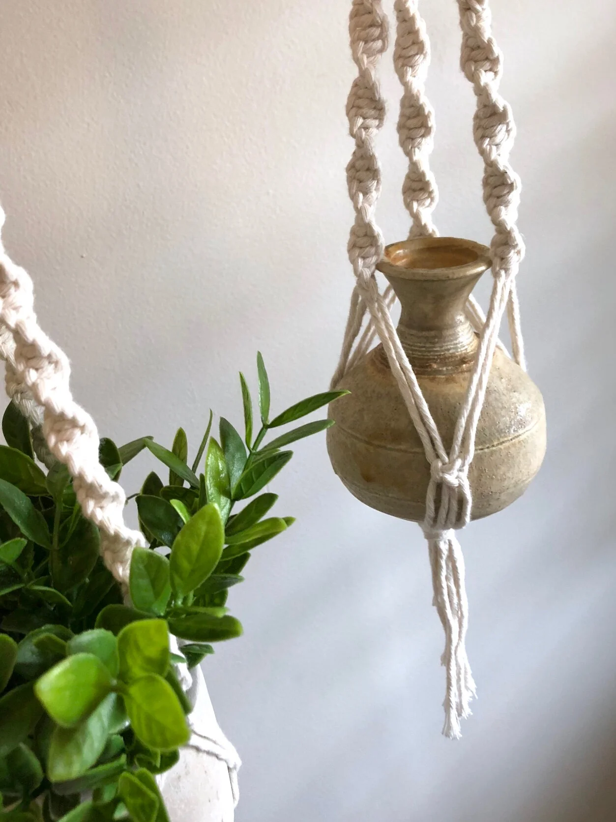 30973EE8-8C7F-45D2-8075-5C772268D416