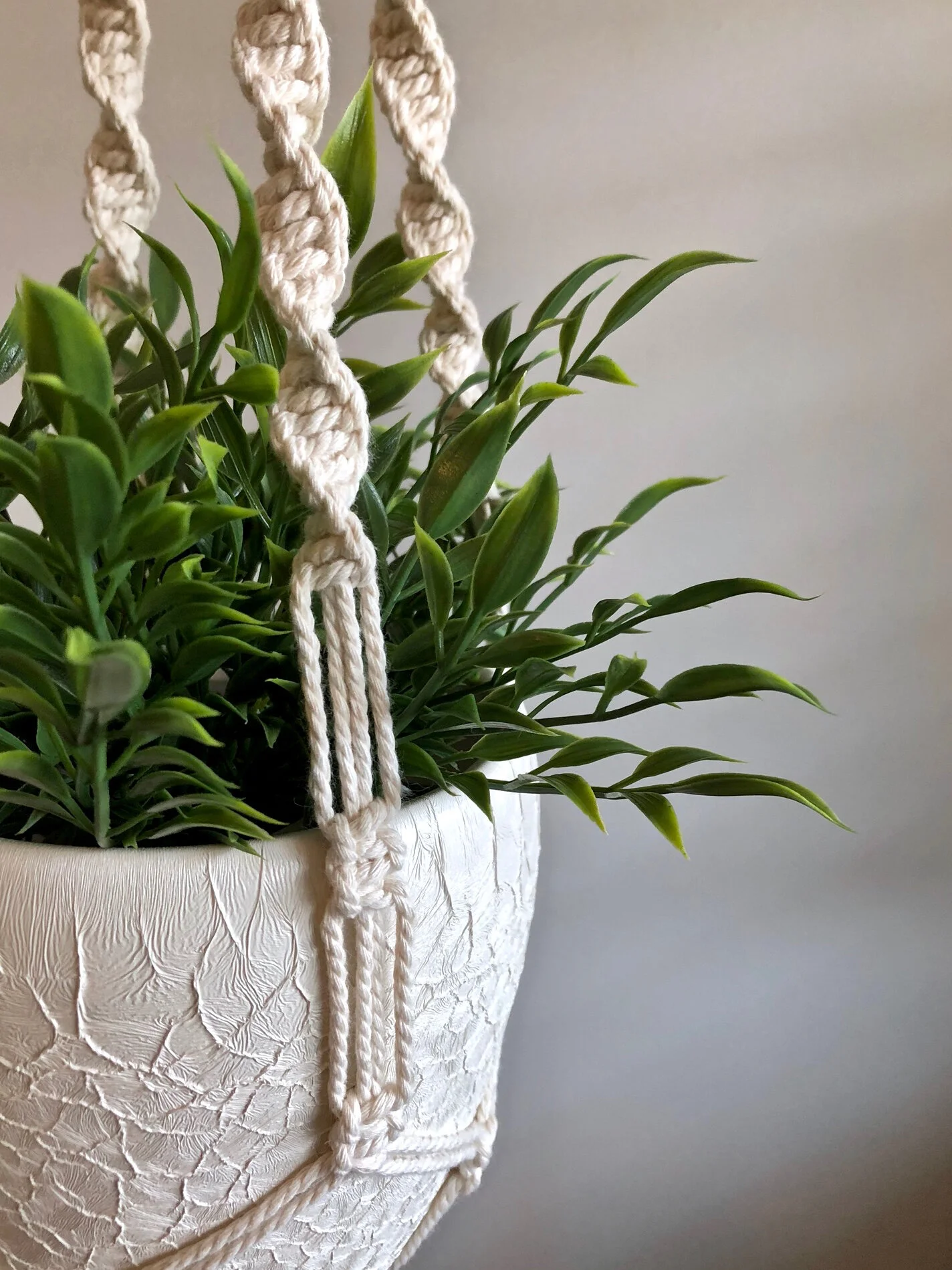 3806C3EA-8F27-4E7C-8743-B2D46562966D