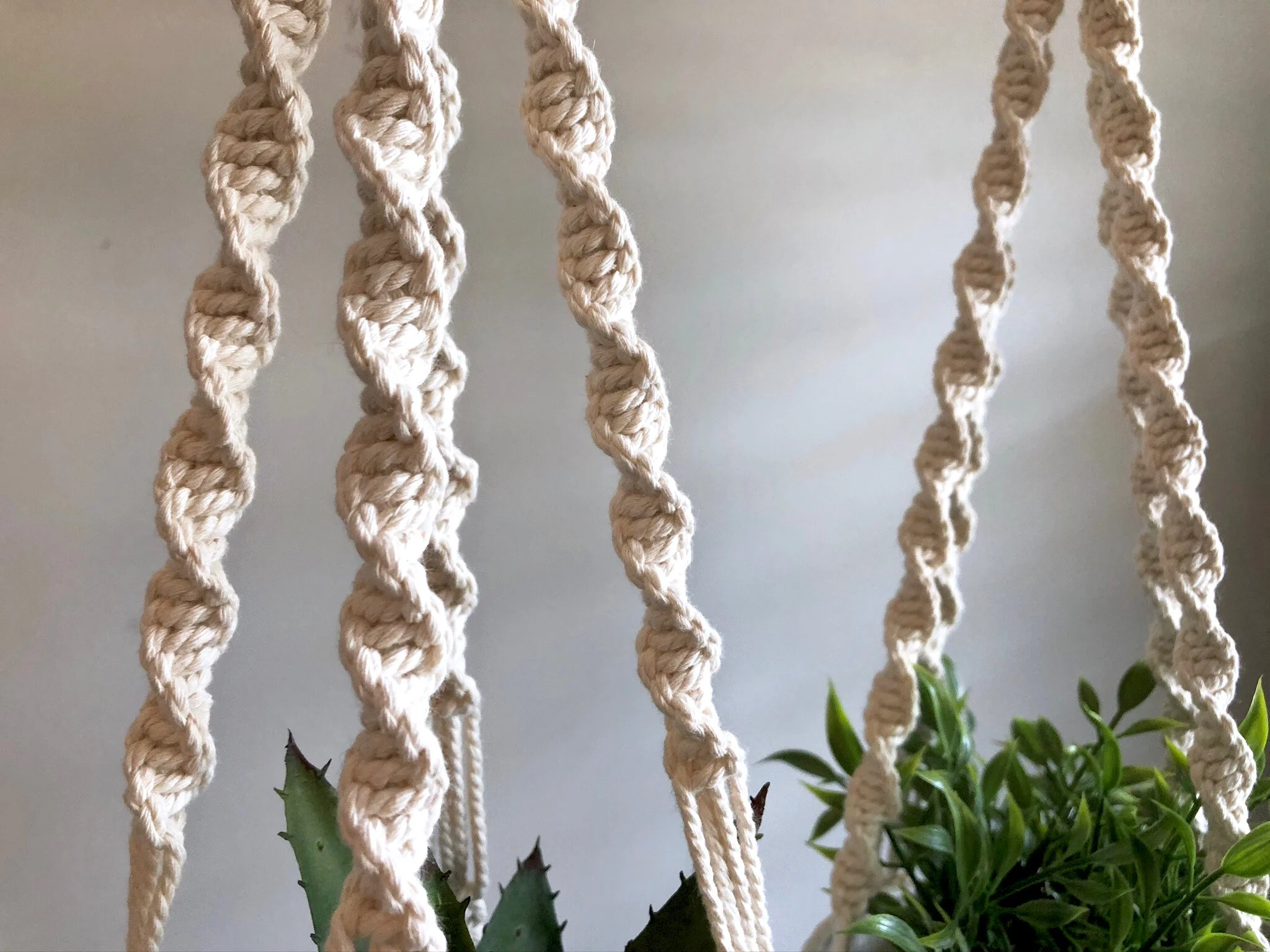 D819B538-61B3-49A8-AF71-0DC292BD181D