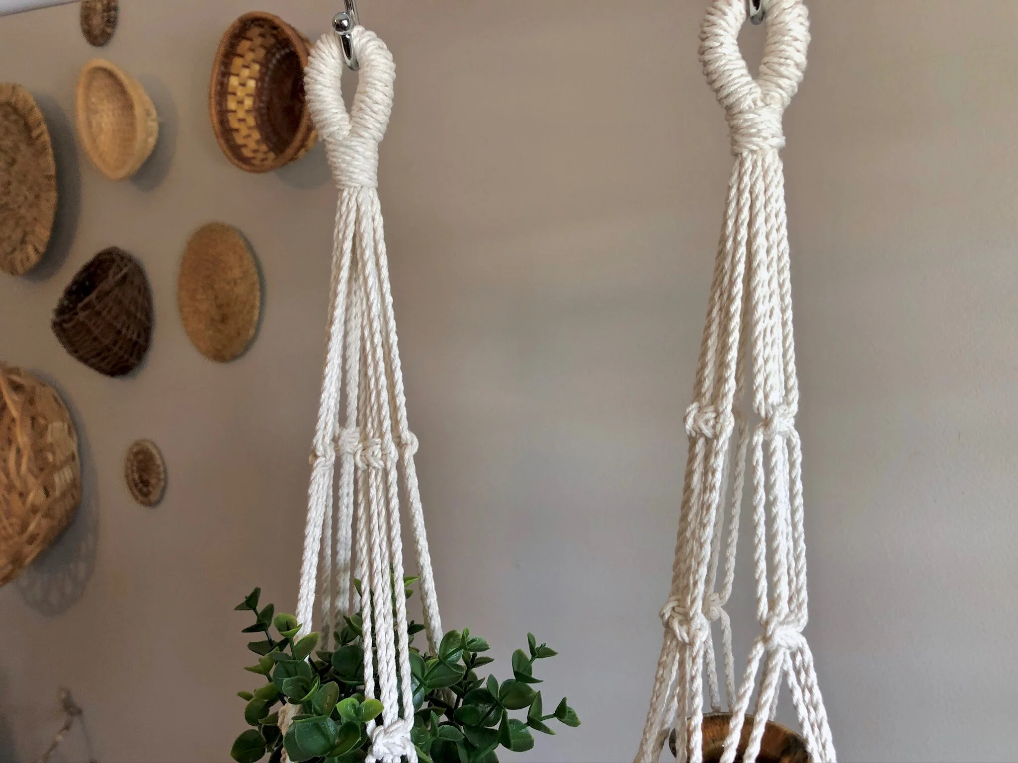 36BCF7E6-BD59-43FA-B531-FBF2BE5D3B19