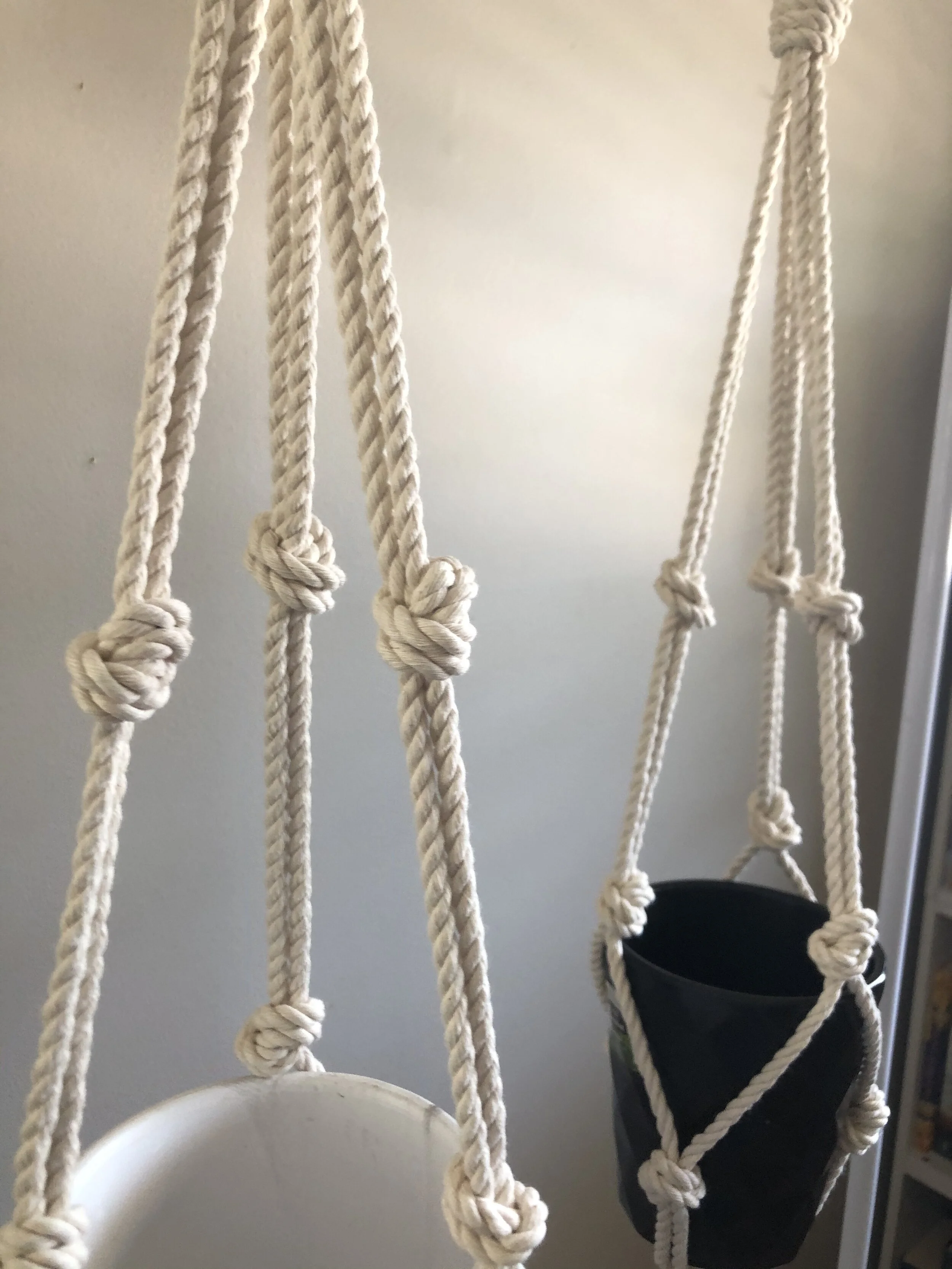 24F15EAF-C83B-4D82-B9B0-82E1D7EFEE02