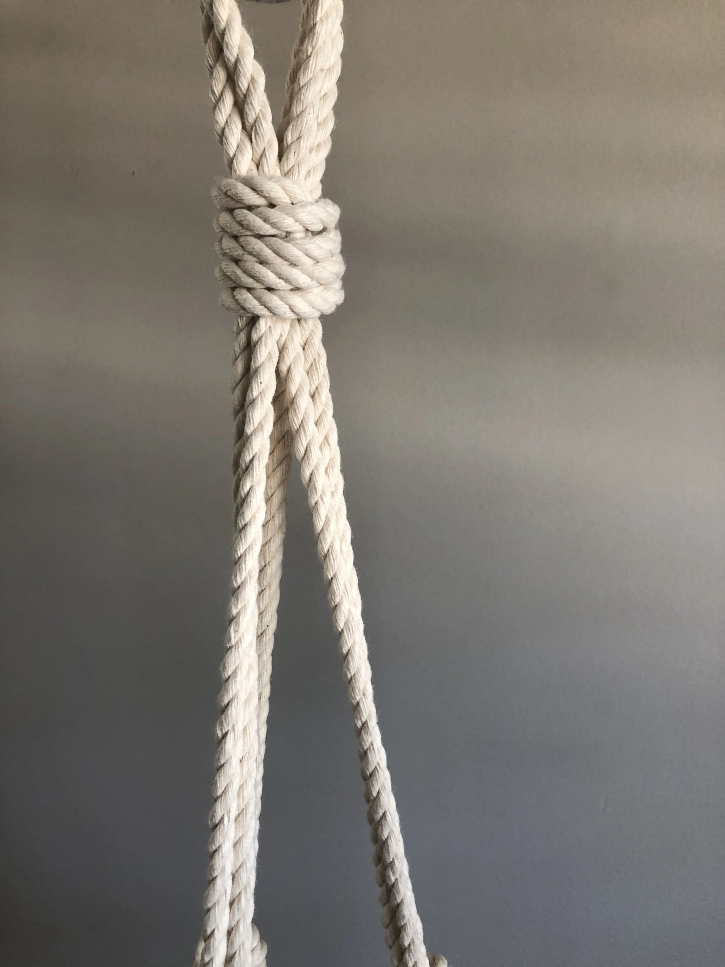 40F347C5-0A31-43E5-AF3E-395FCAFE4287