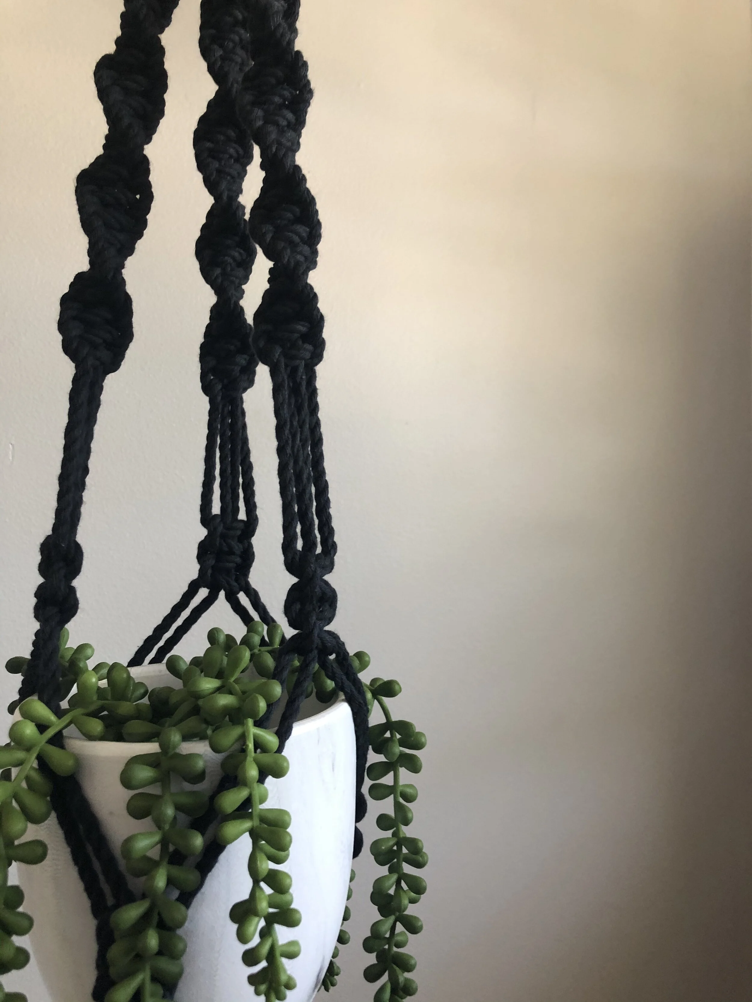 8D42AFB3-2B8E-4A9A-B49F-E53B9DF38169