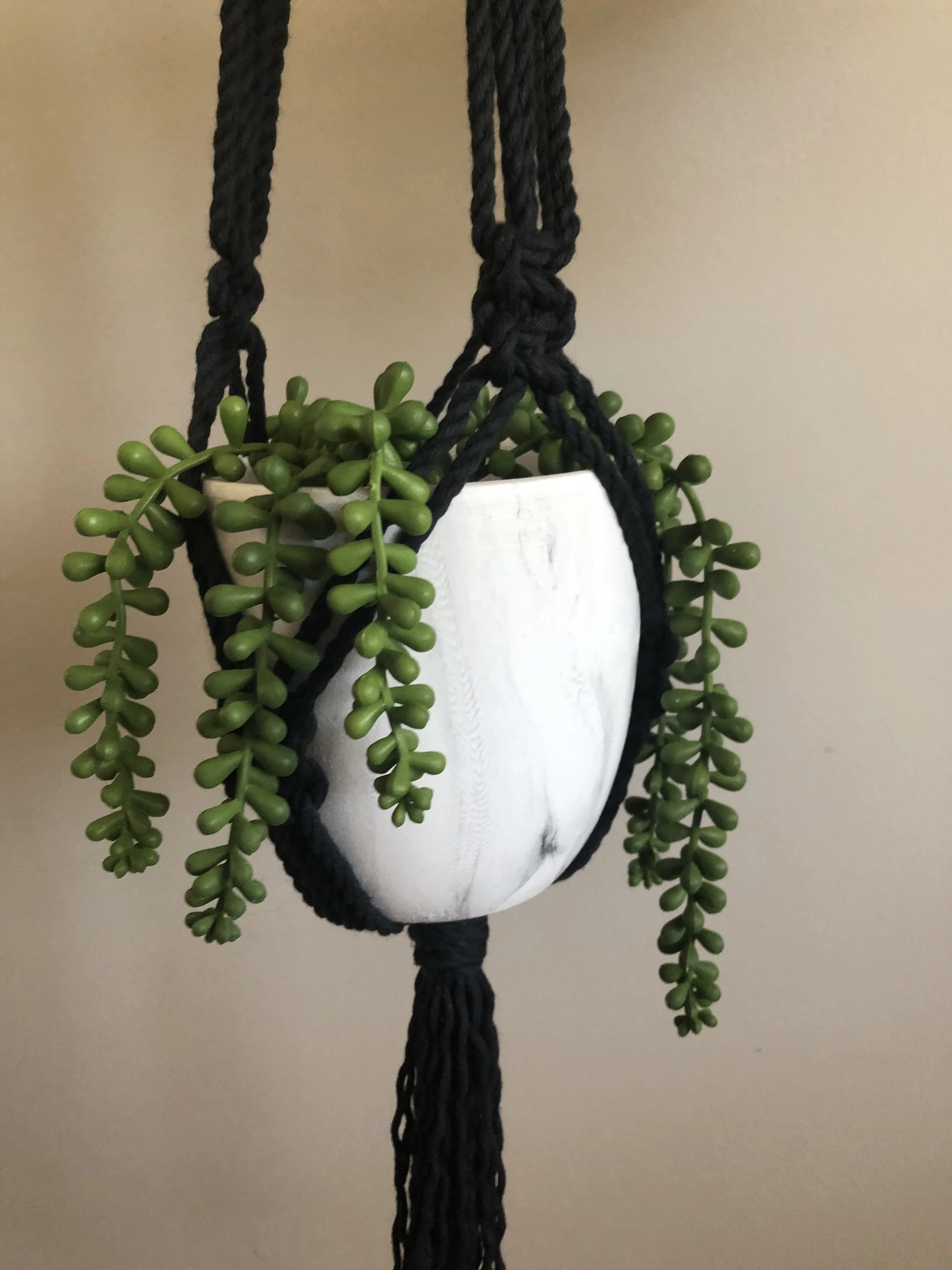 D0FF99A2-91D8-4D31-8665-B3F9315D4412