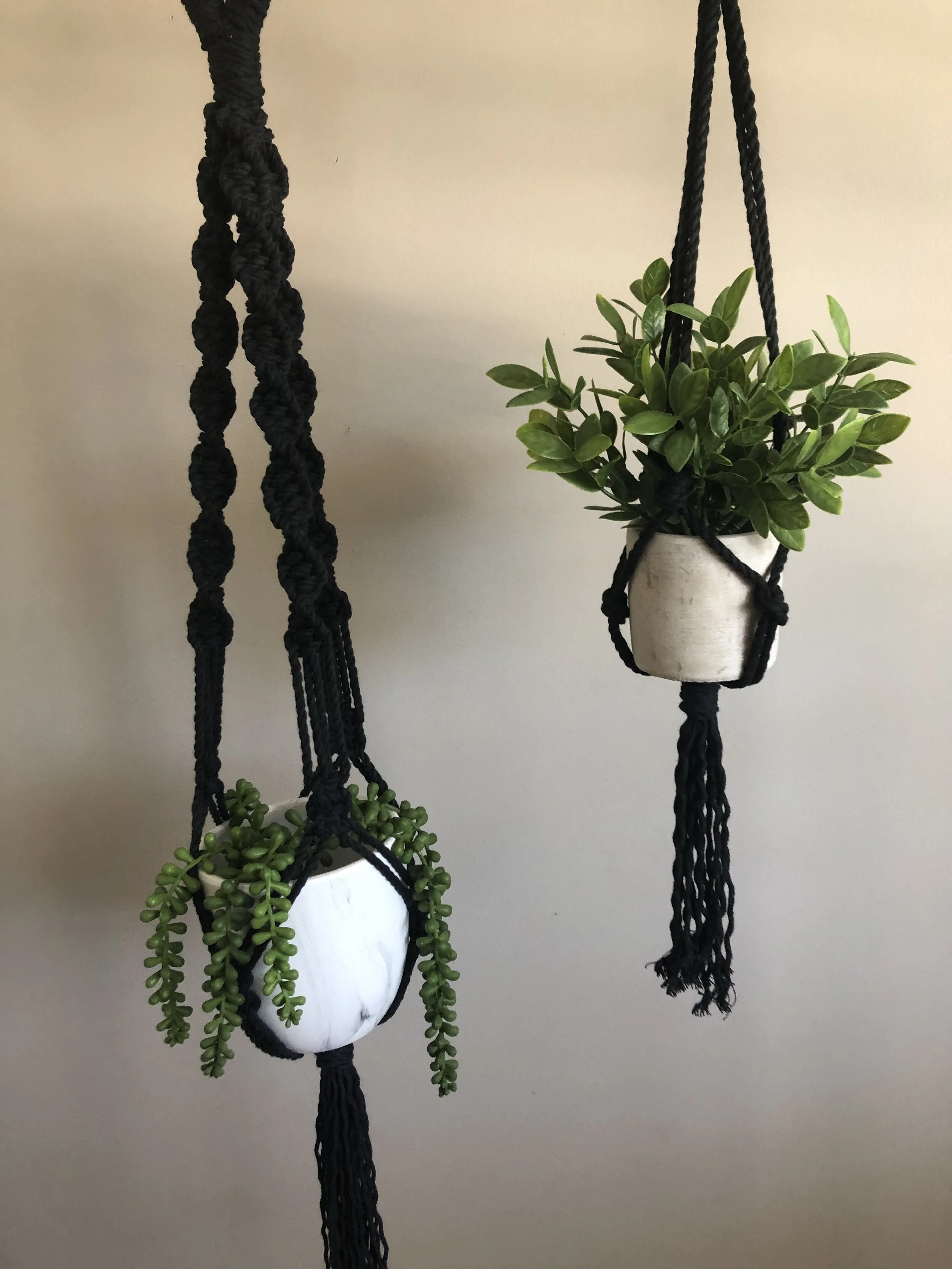 D656DF87-D019-40B9-B4B6-DD5E3AC5F5A3