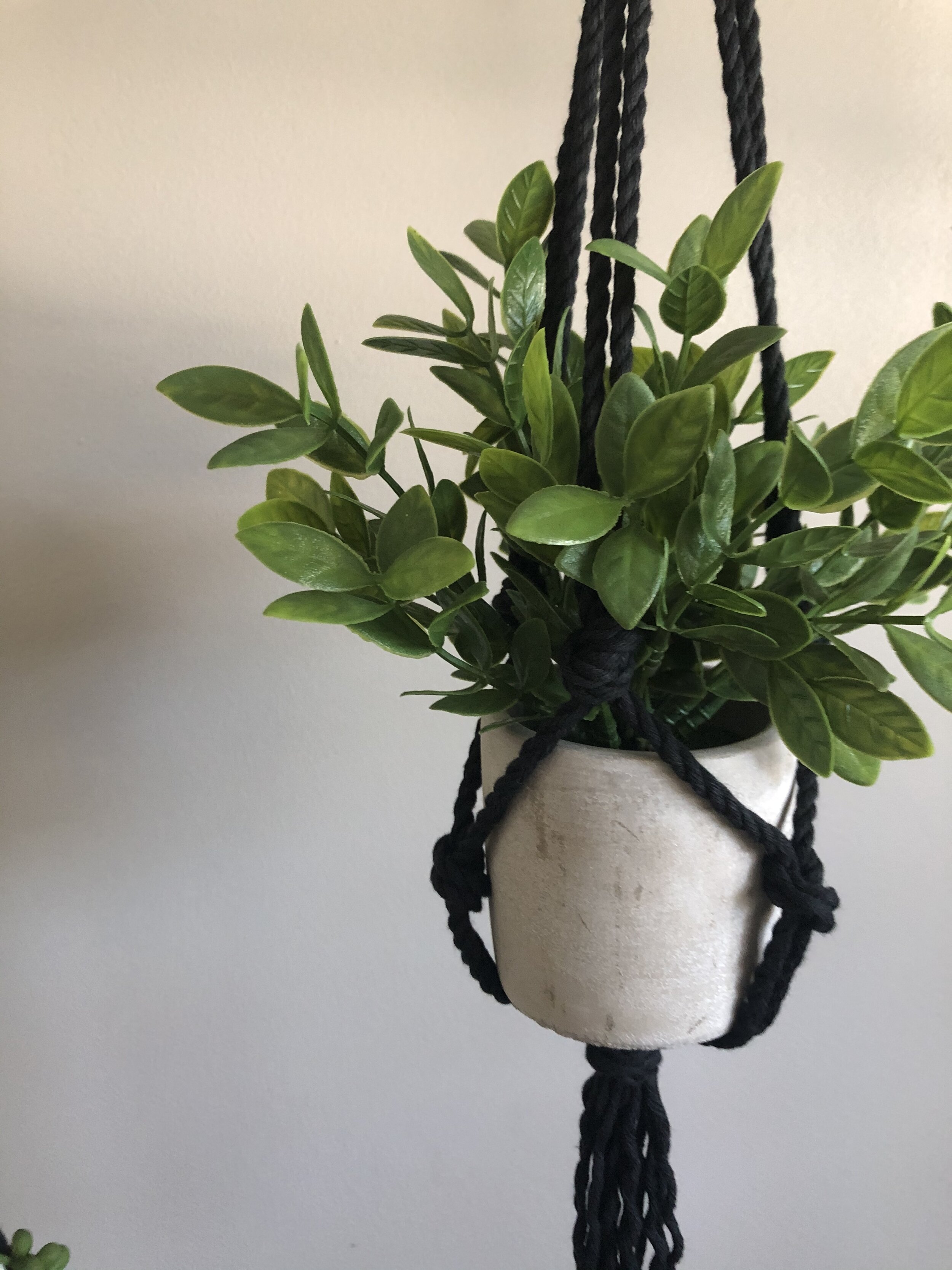 0DD31EE4-86E8-4608-9574-8588BBAD4AE6