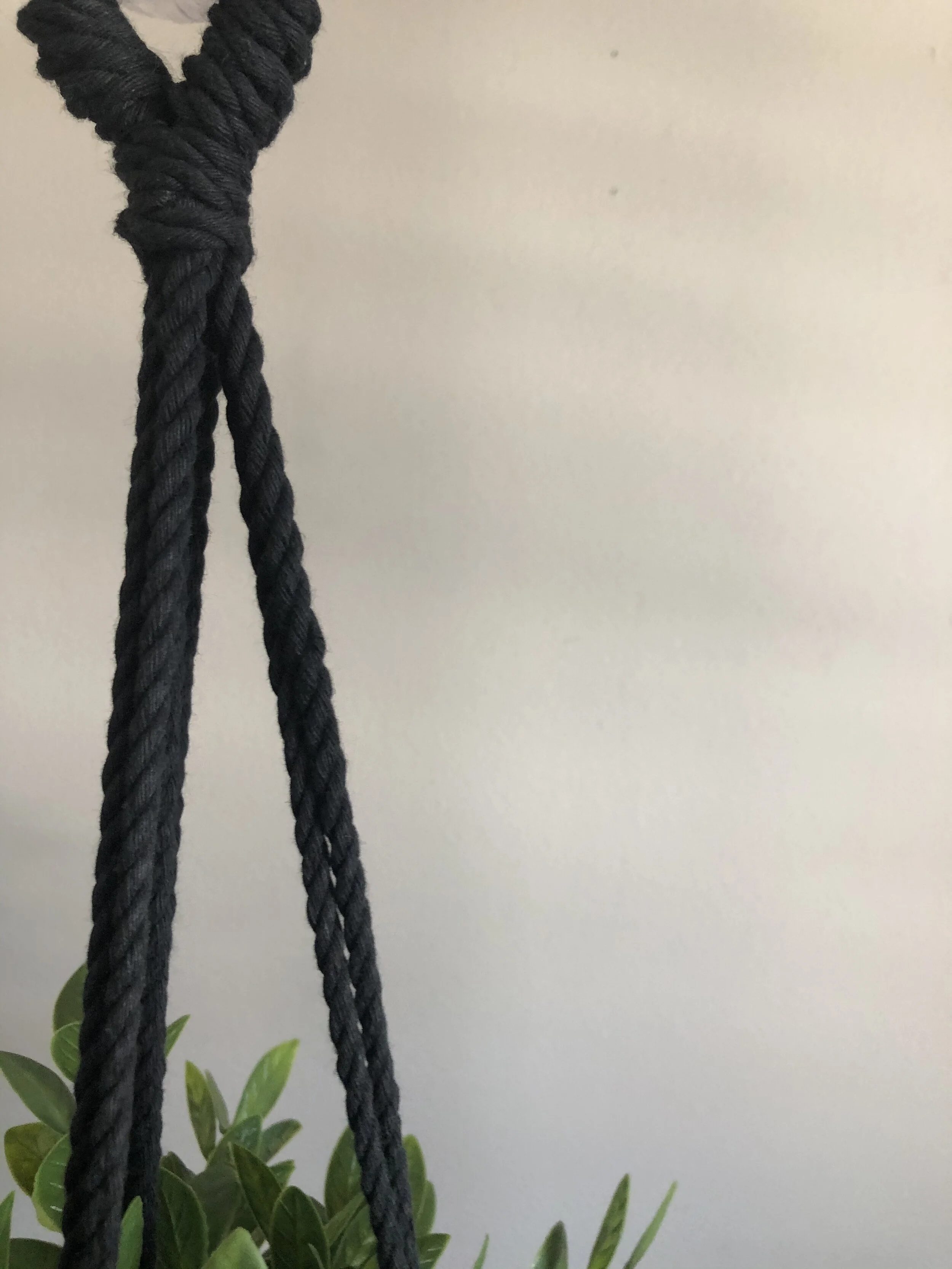 F3749309-7E6E-40A1-BE03-60FA86CBBDB8