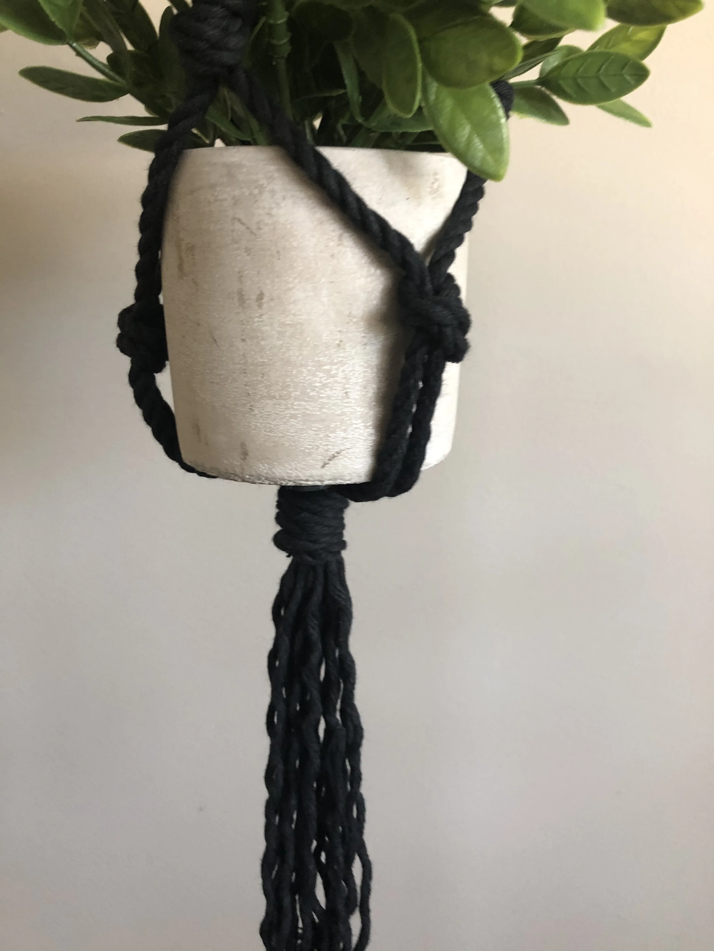 8B628E63-3124-4D4E-BC17-3A215CD0135A