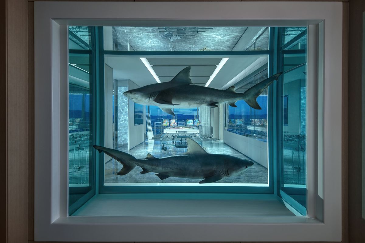 Entrance view in the Empathy Suite, Image courtesy of Artsy.