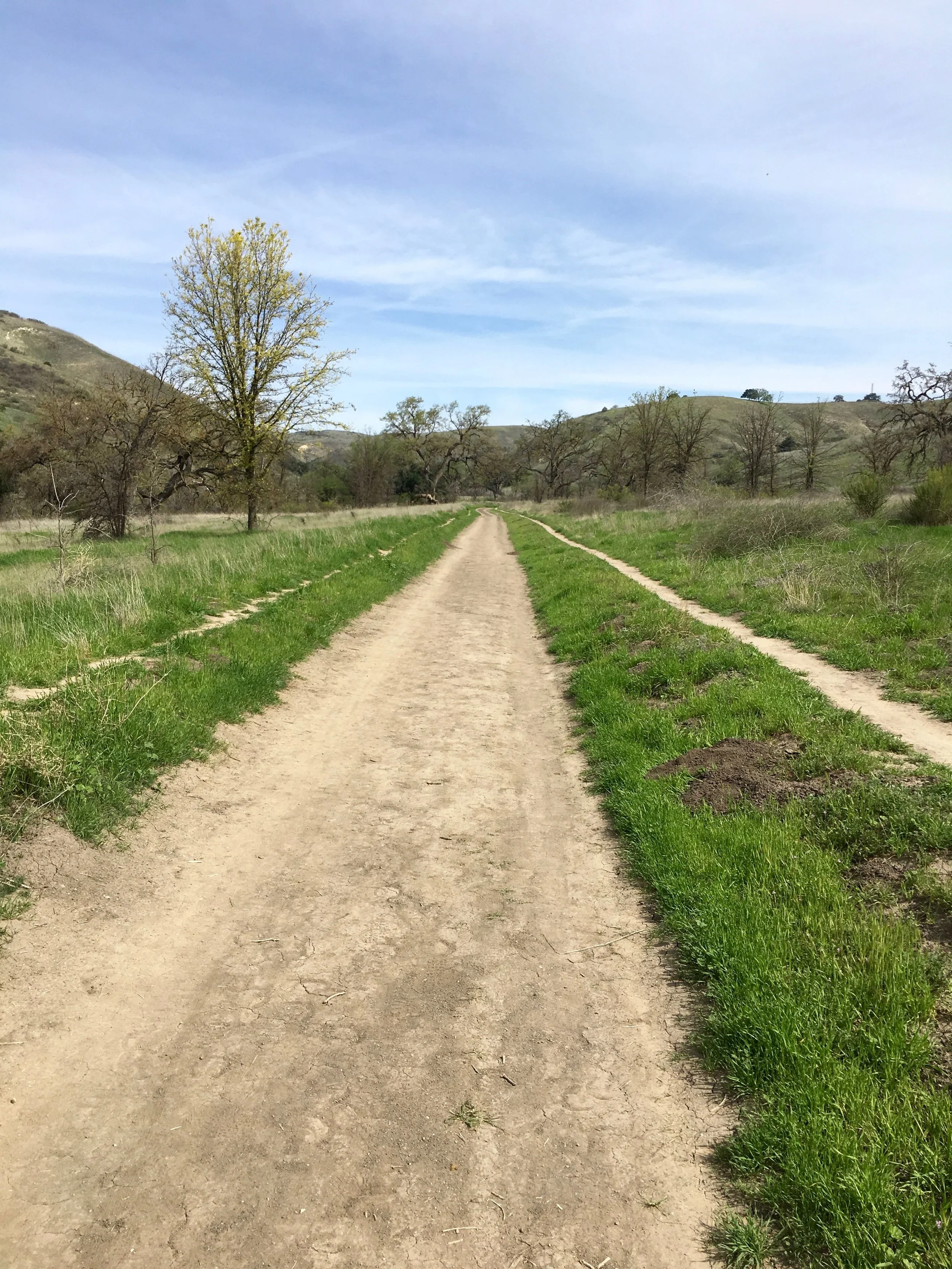 Agoura Hills, California — Hike & Hops