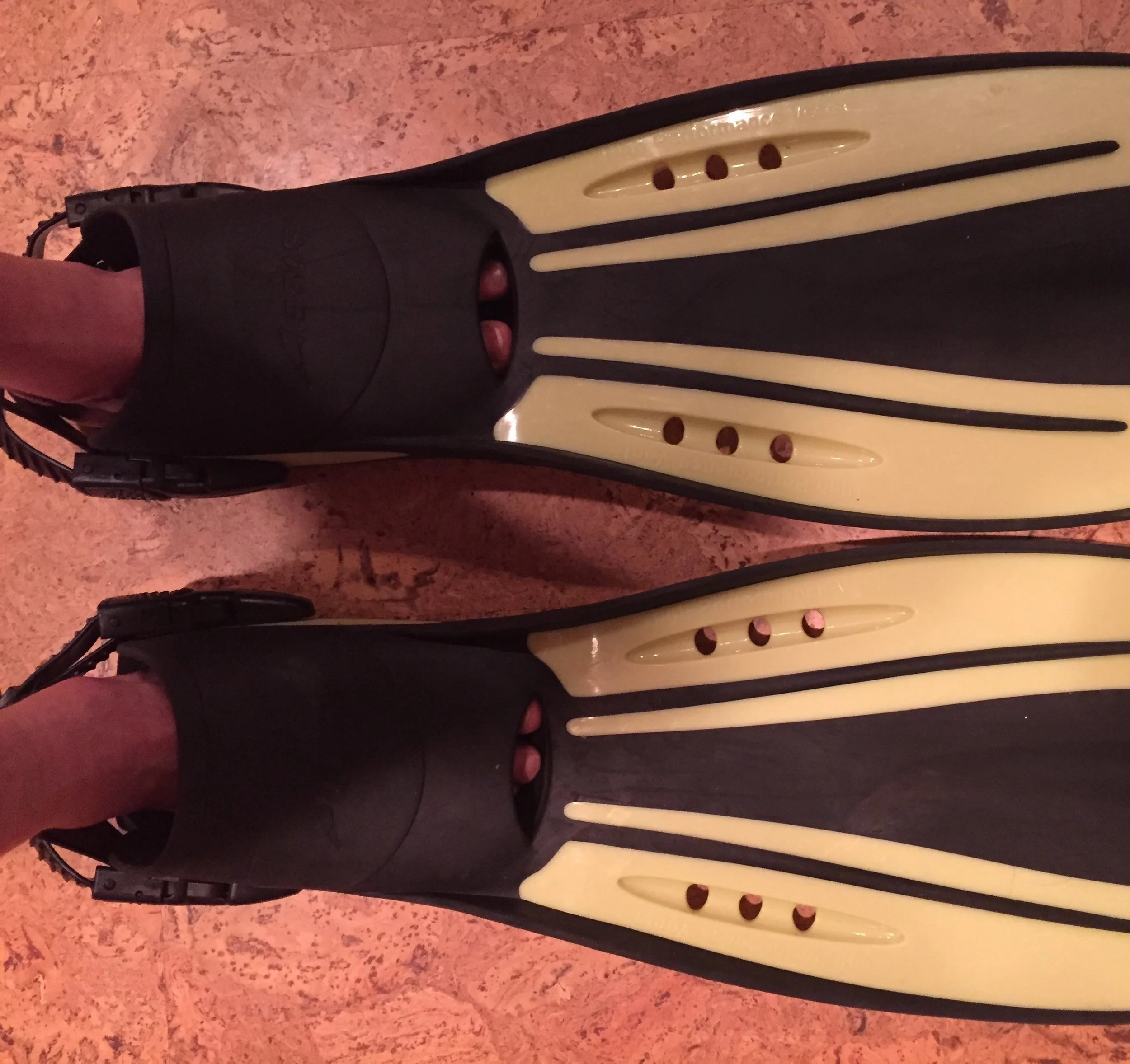 Dave's water shoes.JPG