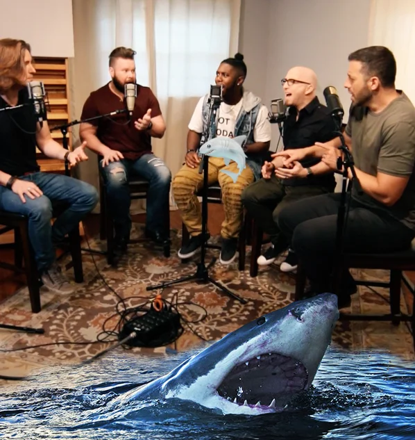 "Stay Away Shark!" Now playing on IGTV