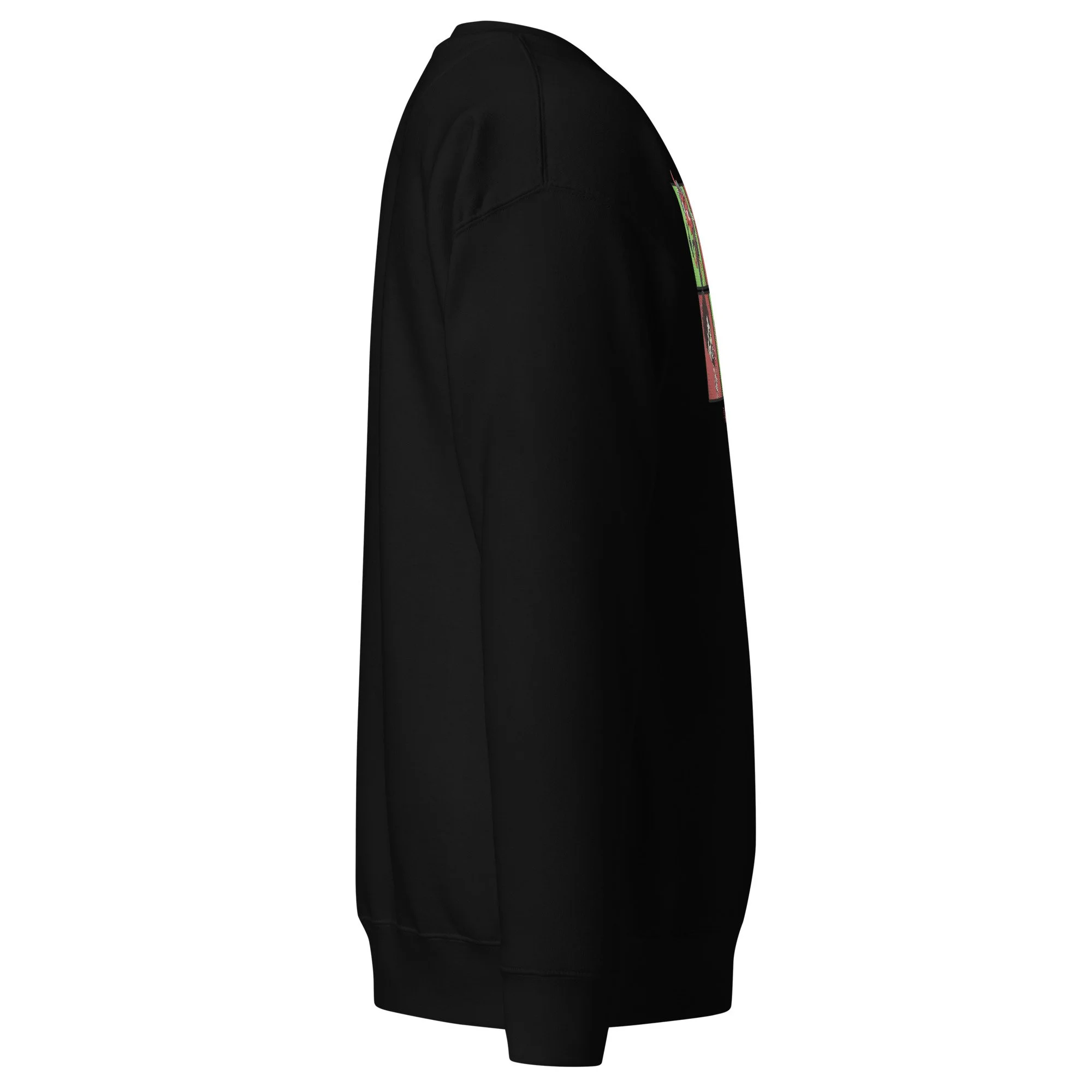 unisex-premium-sweatshirt-black-right-6adb8dab14d71.jpg