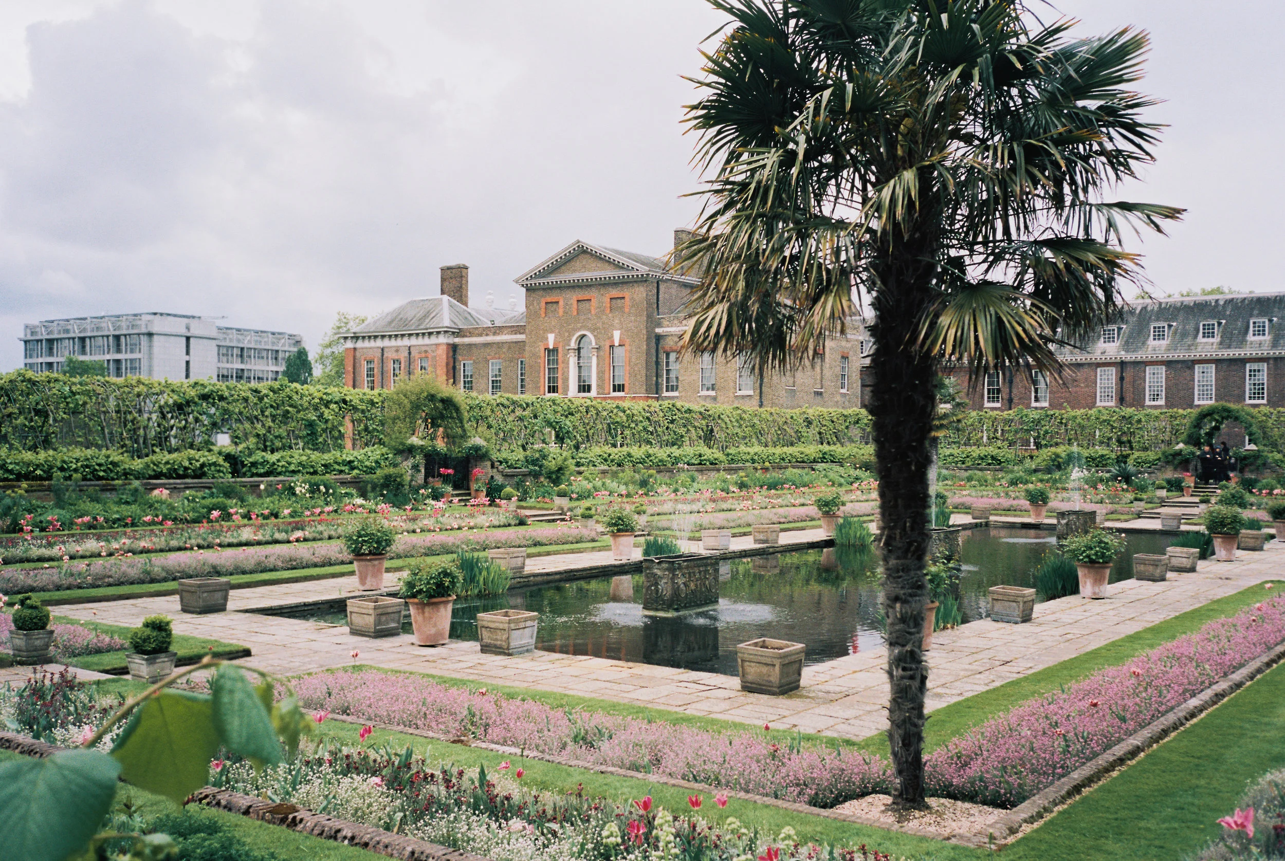 Kensington Palace | Contax T3 + Portra 160. Scanned on Fuji Frontier SP3000.