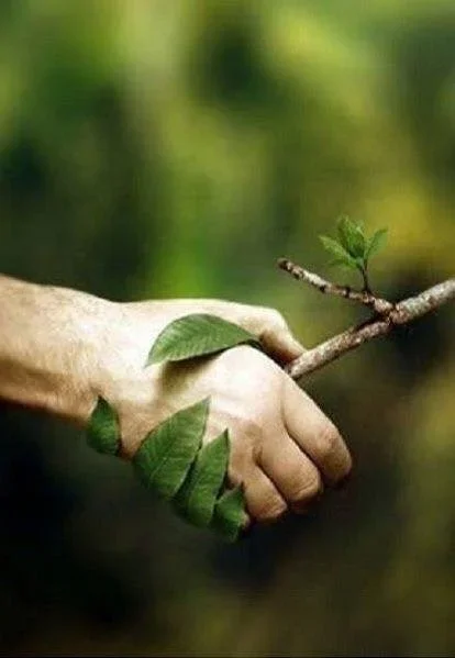 Discover the power of Natural Therapies