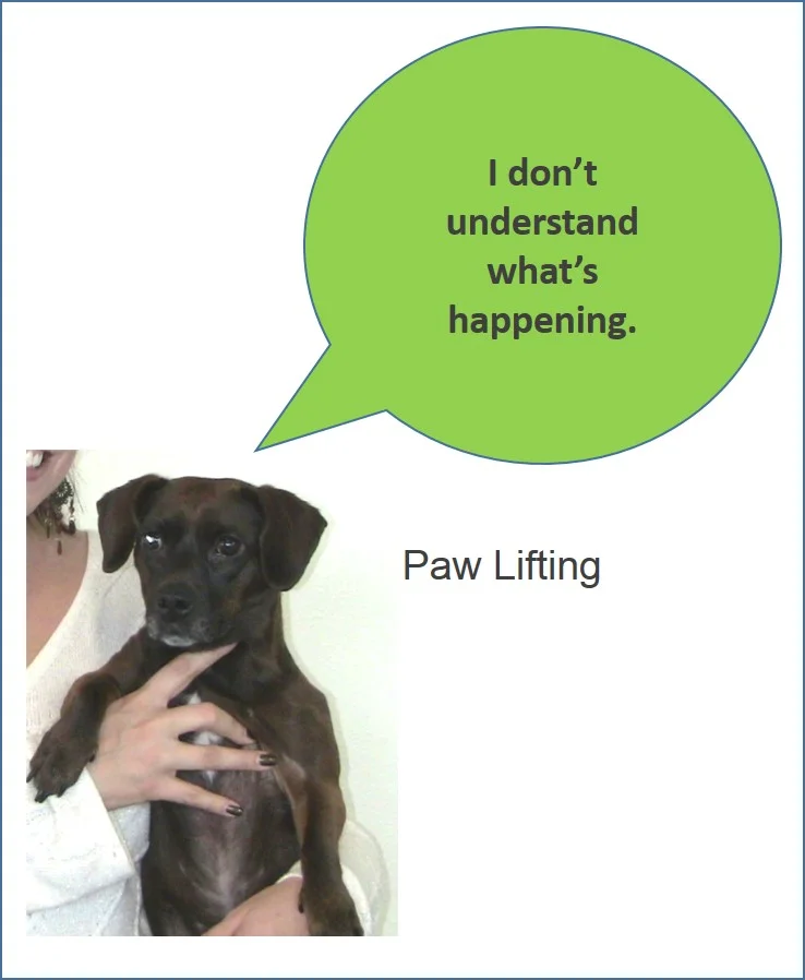PawLifting.jpg