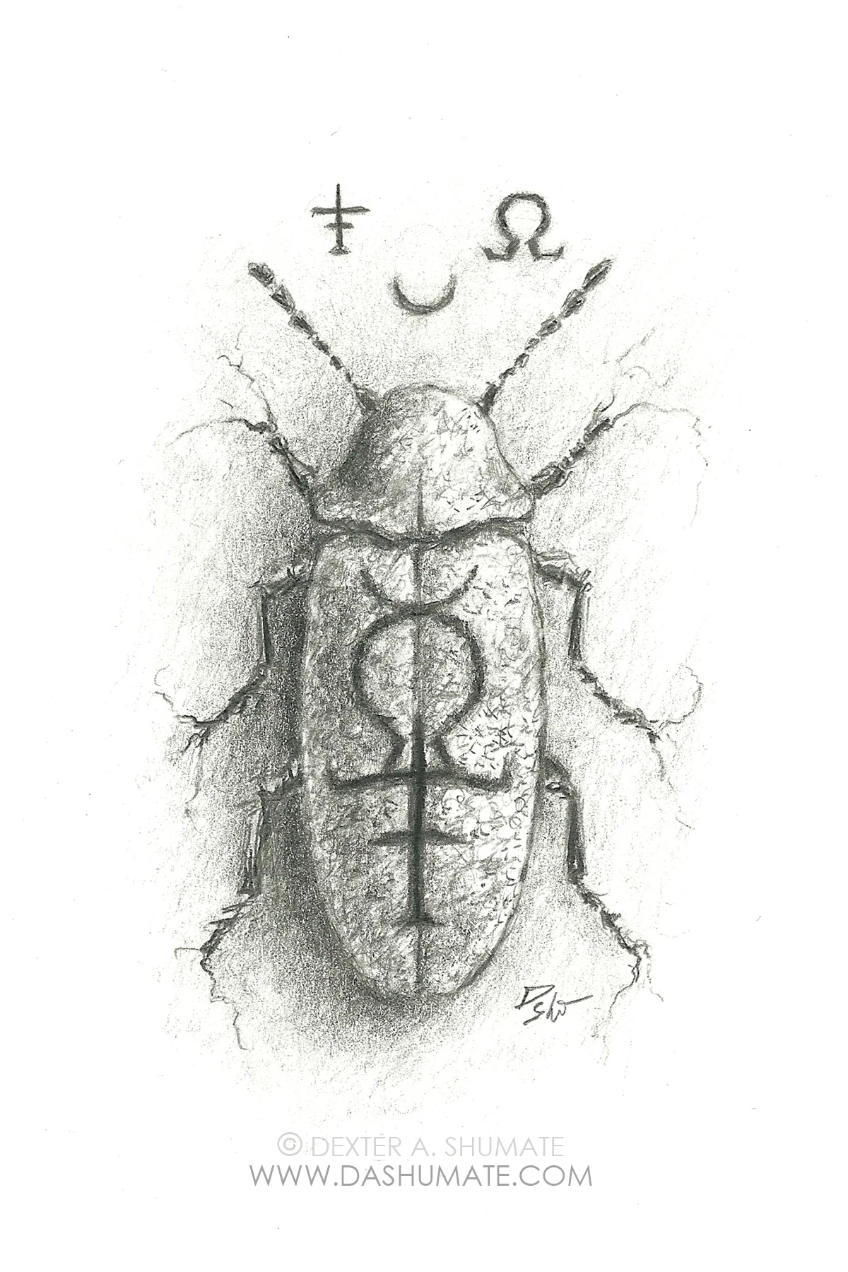 sketch25_4x6.jpg