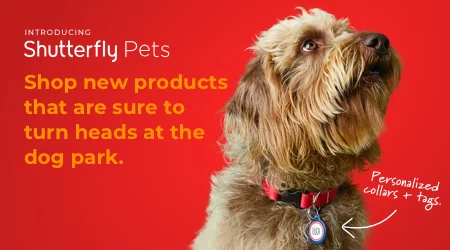 dog tags shutterfly