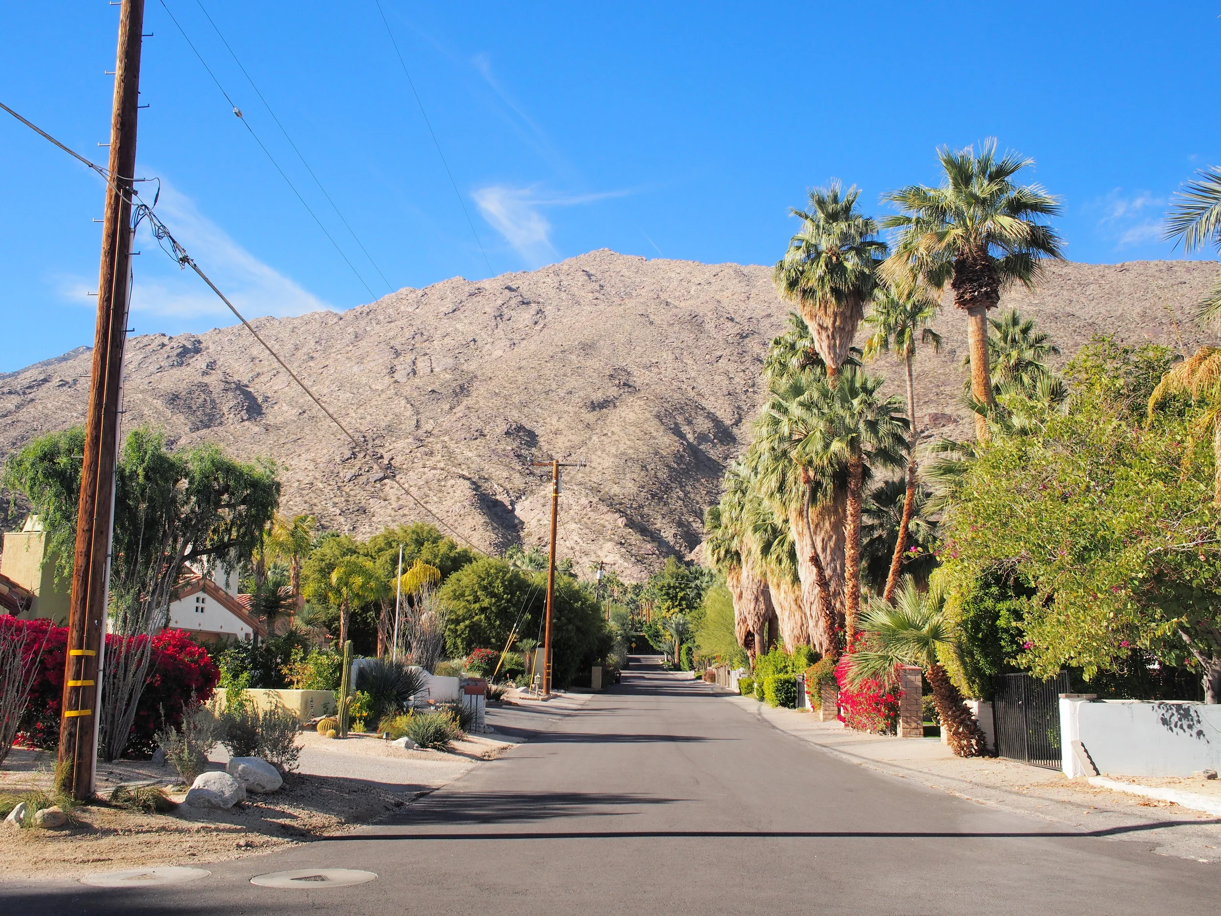 west-coast-2018037.jpg
