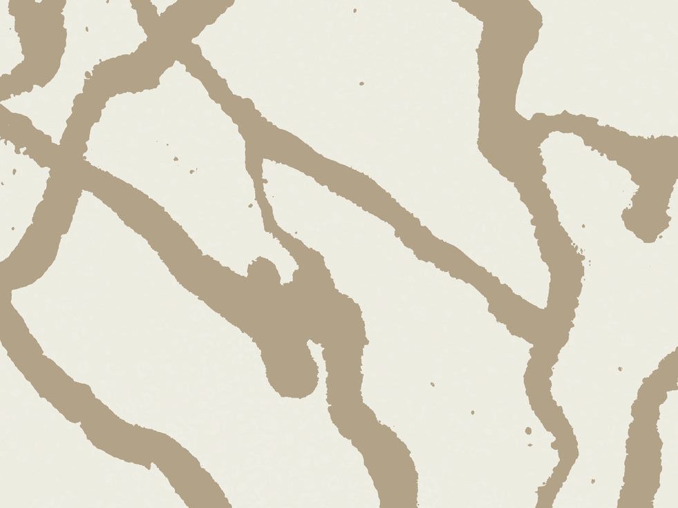 83ef20de855e62d4dbe87db0c1ae57dd--jeff-andrews-color-swatches.jpg