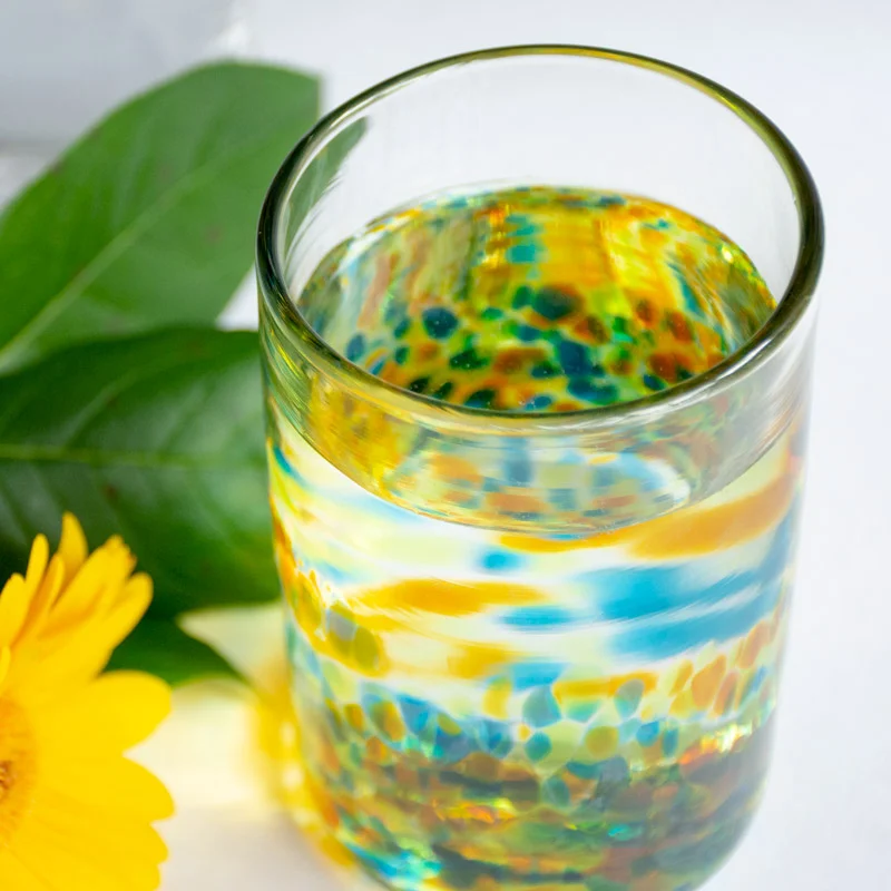 Meadow Tumbler | Tara Blown Glass