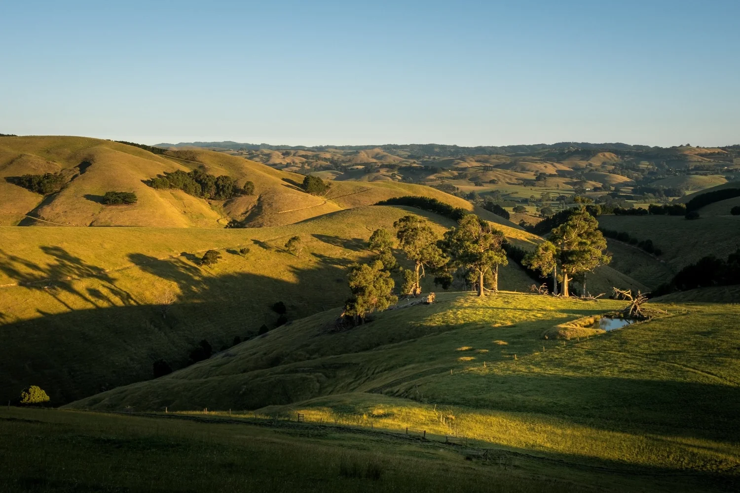 Tiny Houses Sunshine Coast — Häuslein Tiny House Co