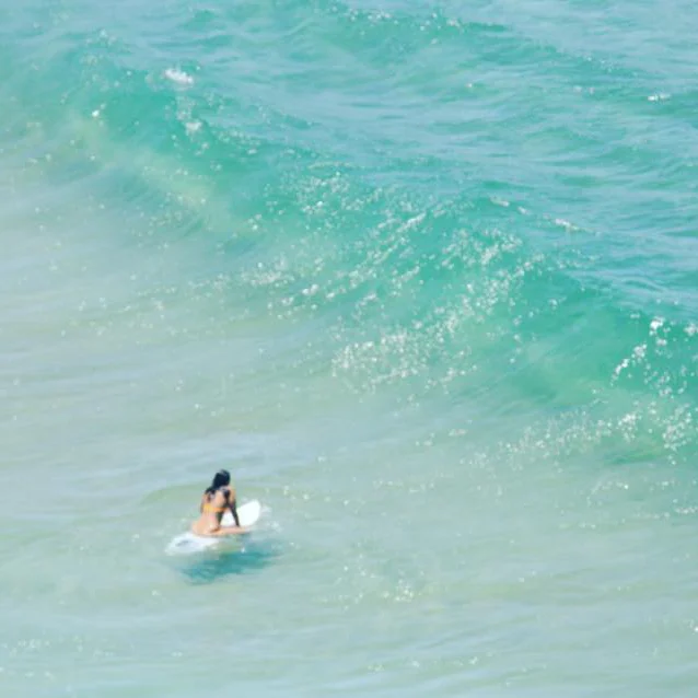 Lily surfing square.jpg