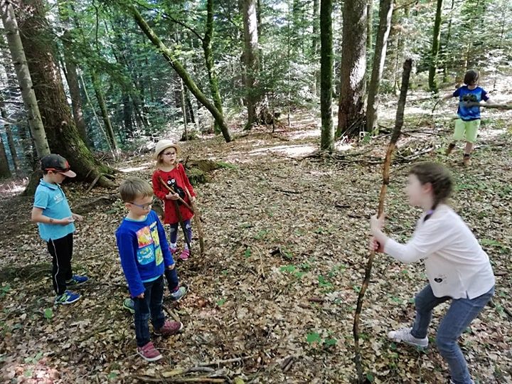 Forêt juin.jpg